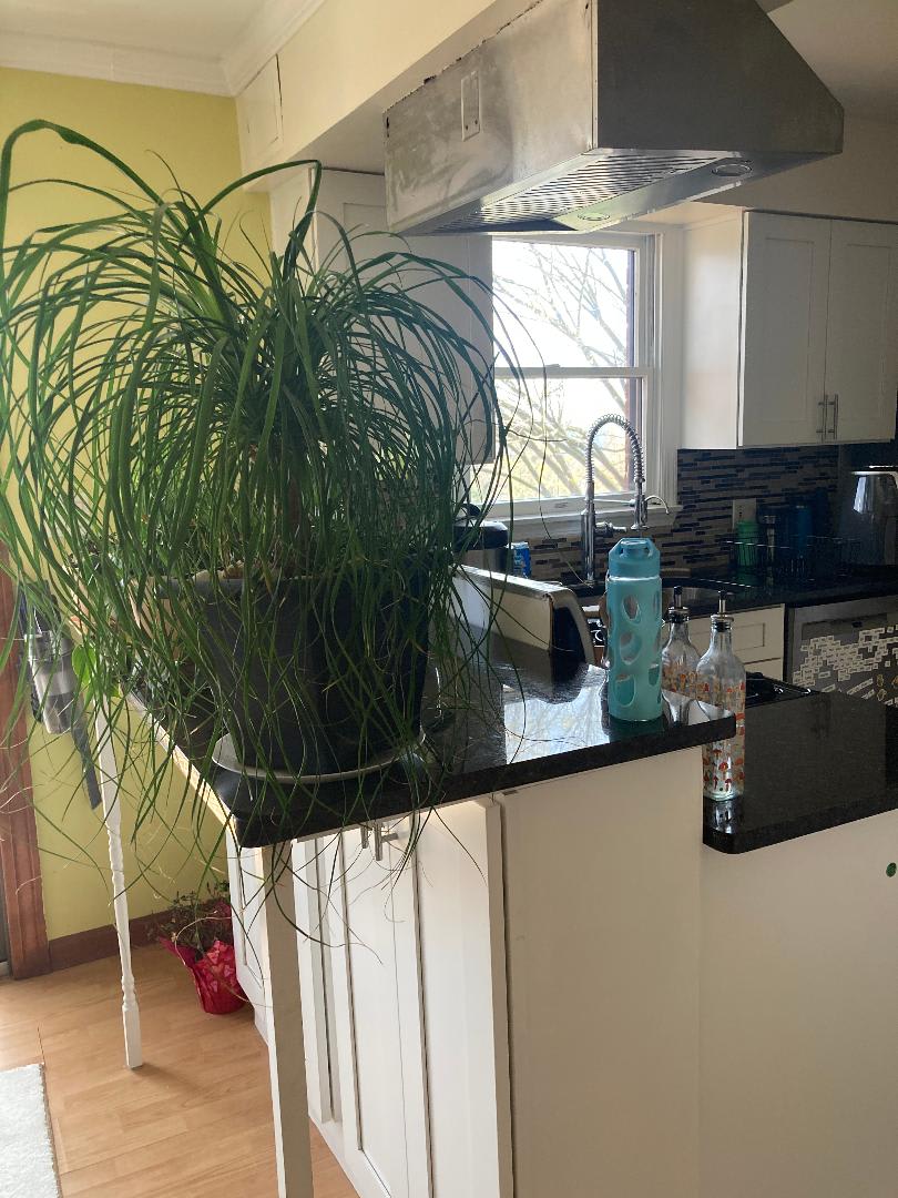 516 Guyasuta Road – photo 3