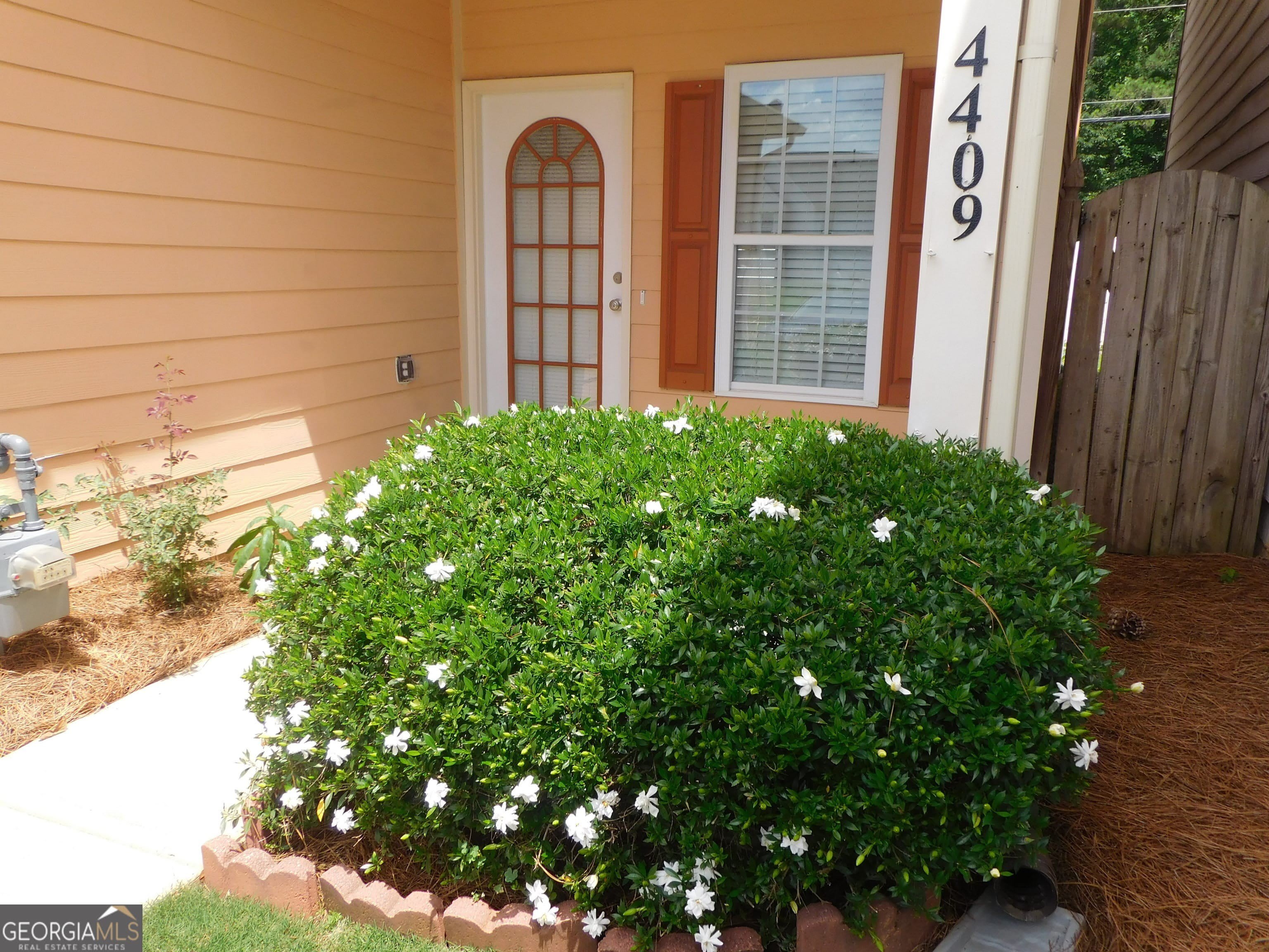 4409 Plum Frost Court – photo 3