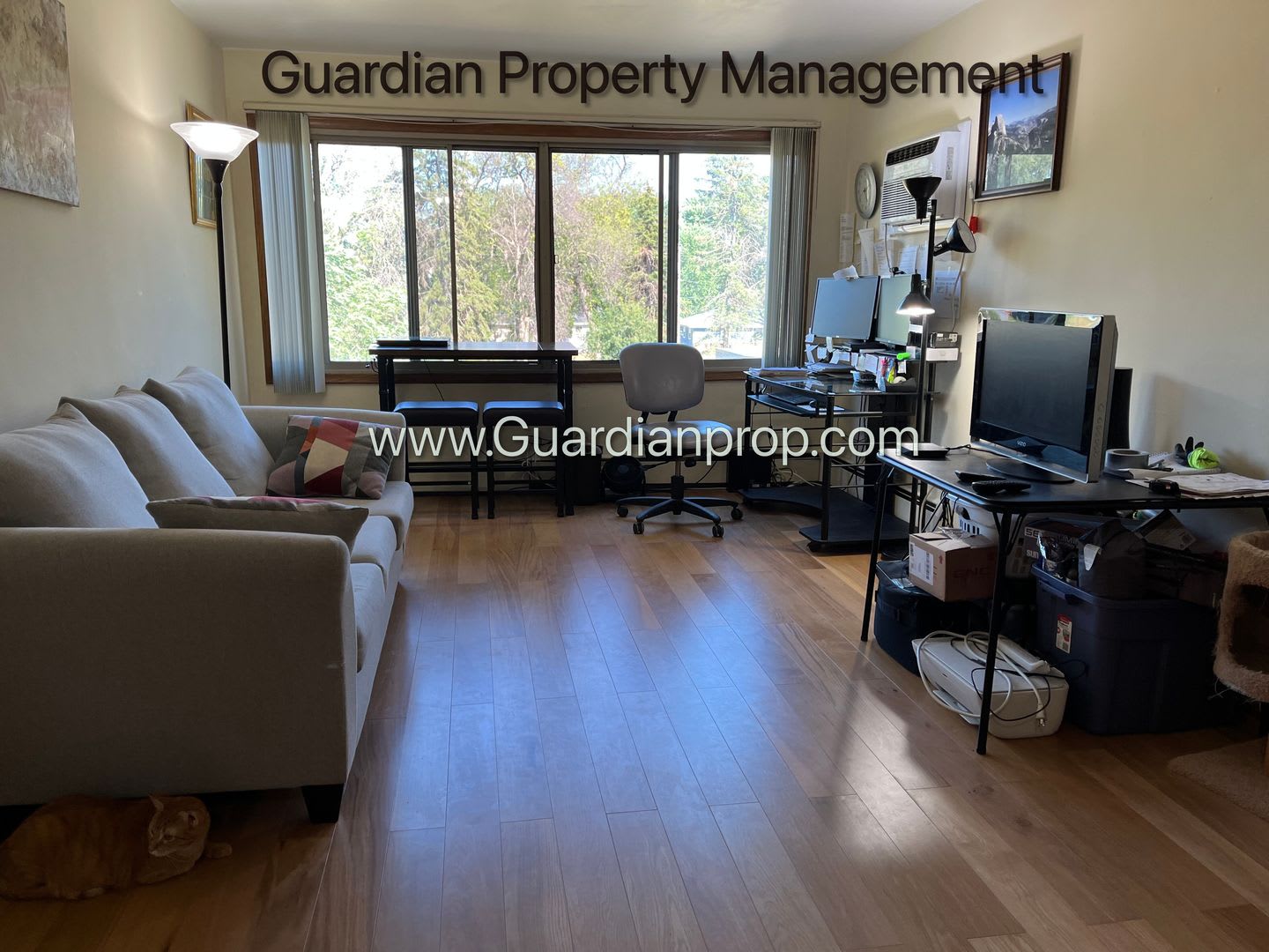 Bloomington Main Floor Apartment, Granite Countertops, Heat Paid, Free Parking, Storage Unit Included – photo 1