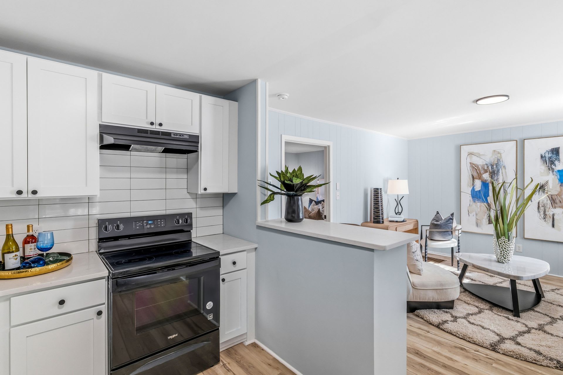 Newly Remodeled 1 Bedroom Apartment – photo 4