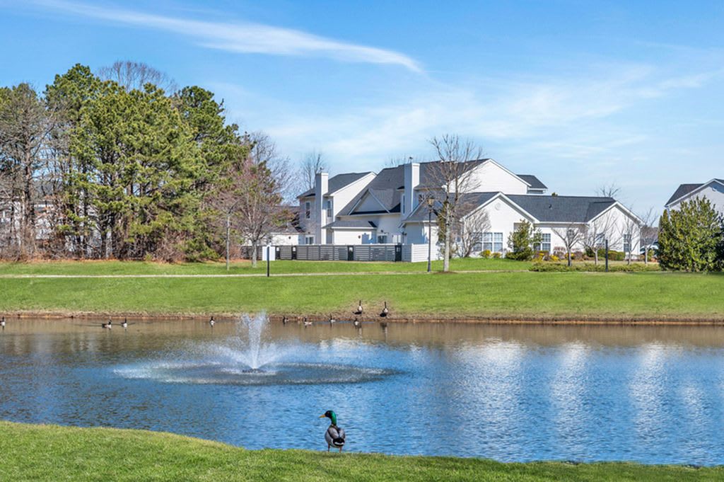 Rosemont Brookhaven – photo 1