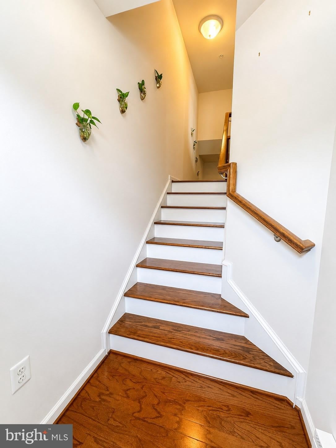 22605 Winding Woods Way – photo 4