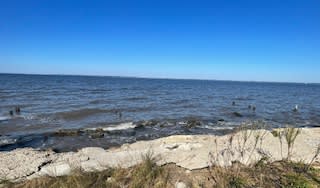 1537 Belangia Road – photo 3