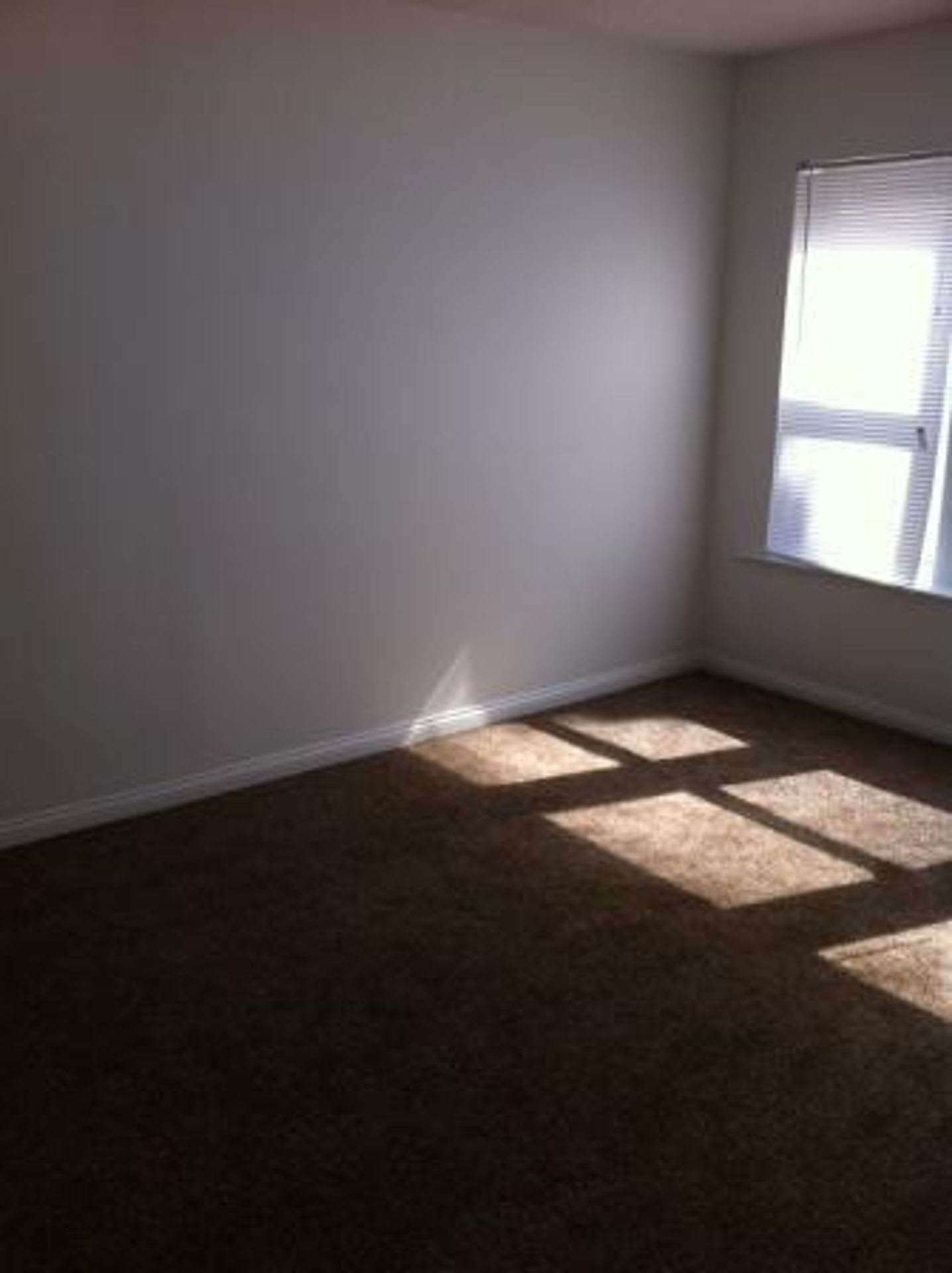 6700 S Indiana Avenue – photo 5