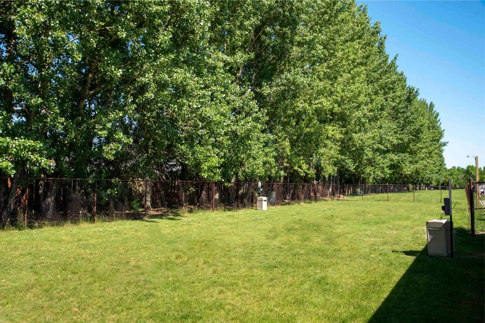 Forest Park Apartments – photo 5