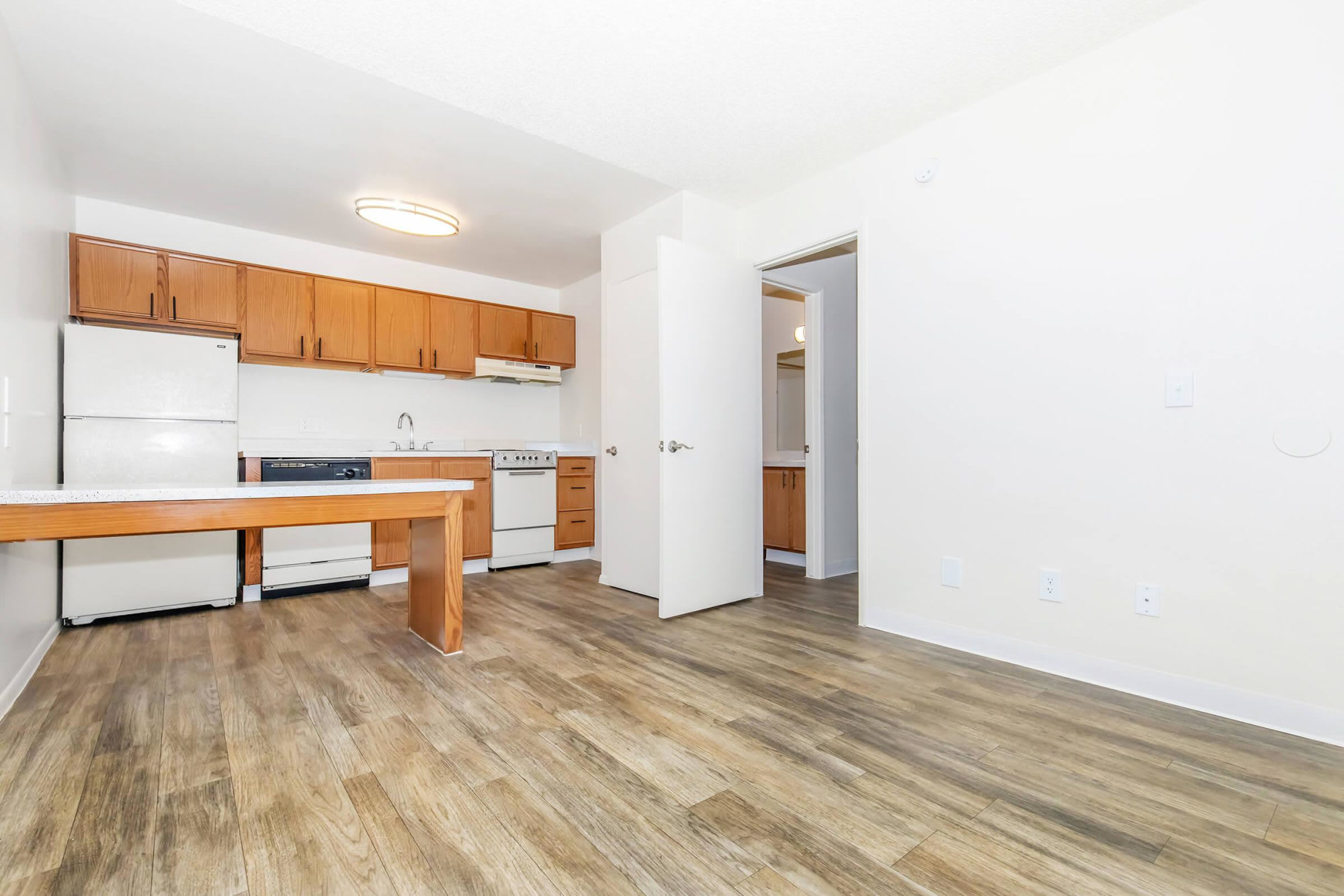 Standard Raintree – photo 2