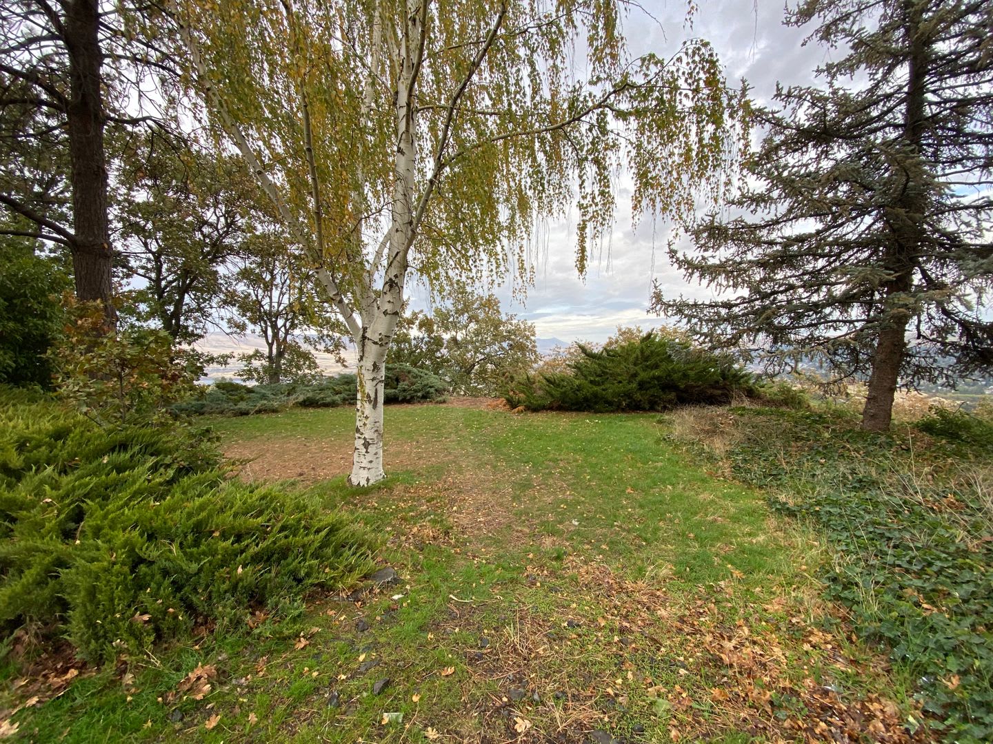 2 Bedroom 1 Bath In The Dalles With Columbia River Views – photo 3