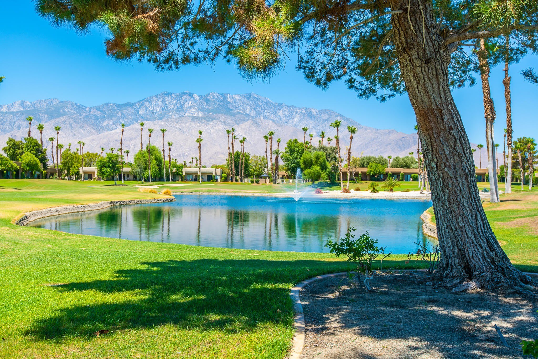 28859 Desert Princess Drive – photo 1