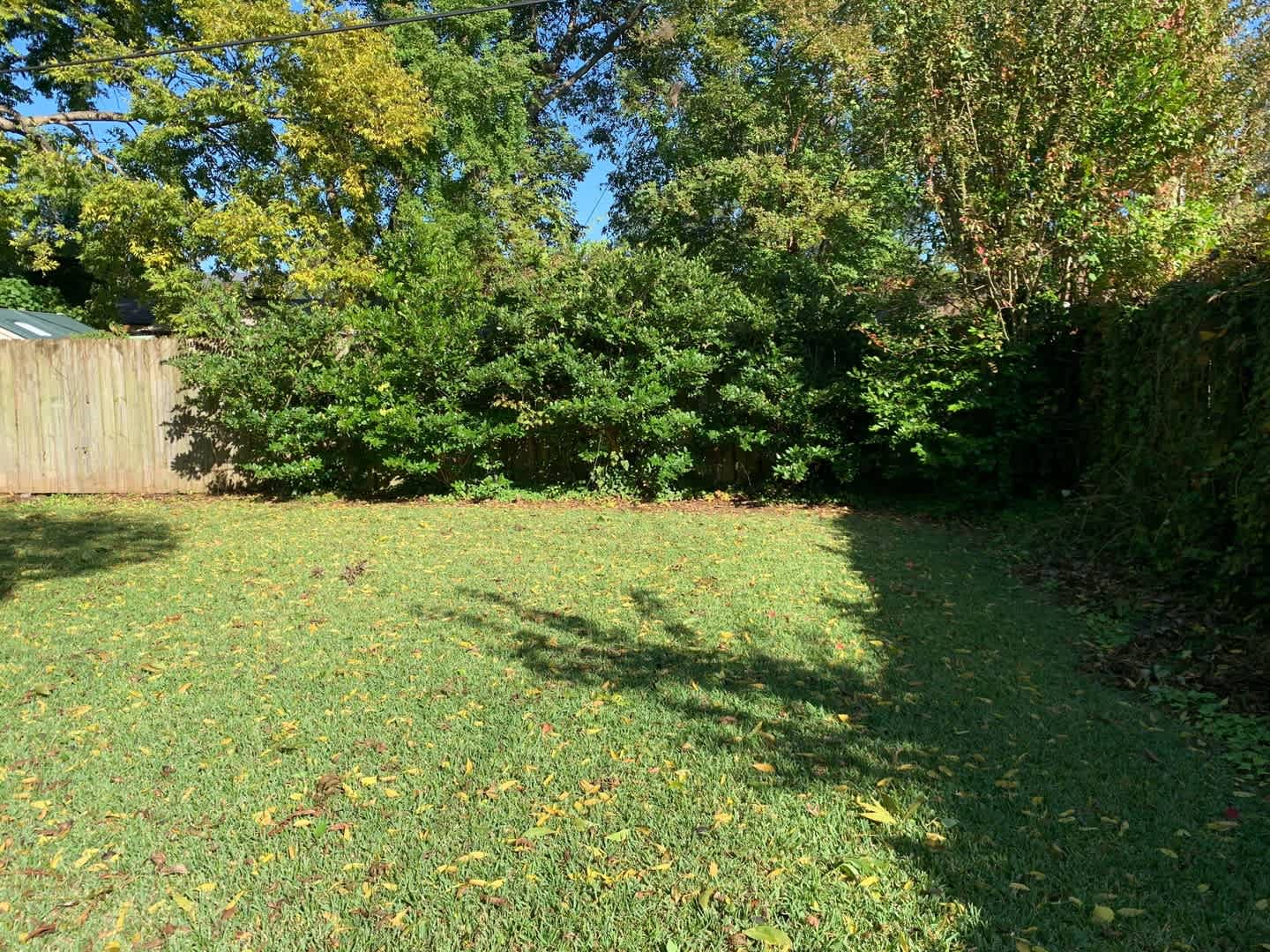 3 Bedroom 2 bathroom – photo 4