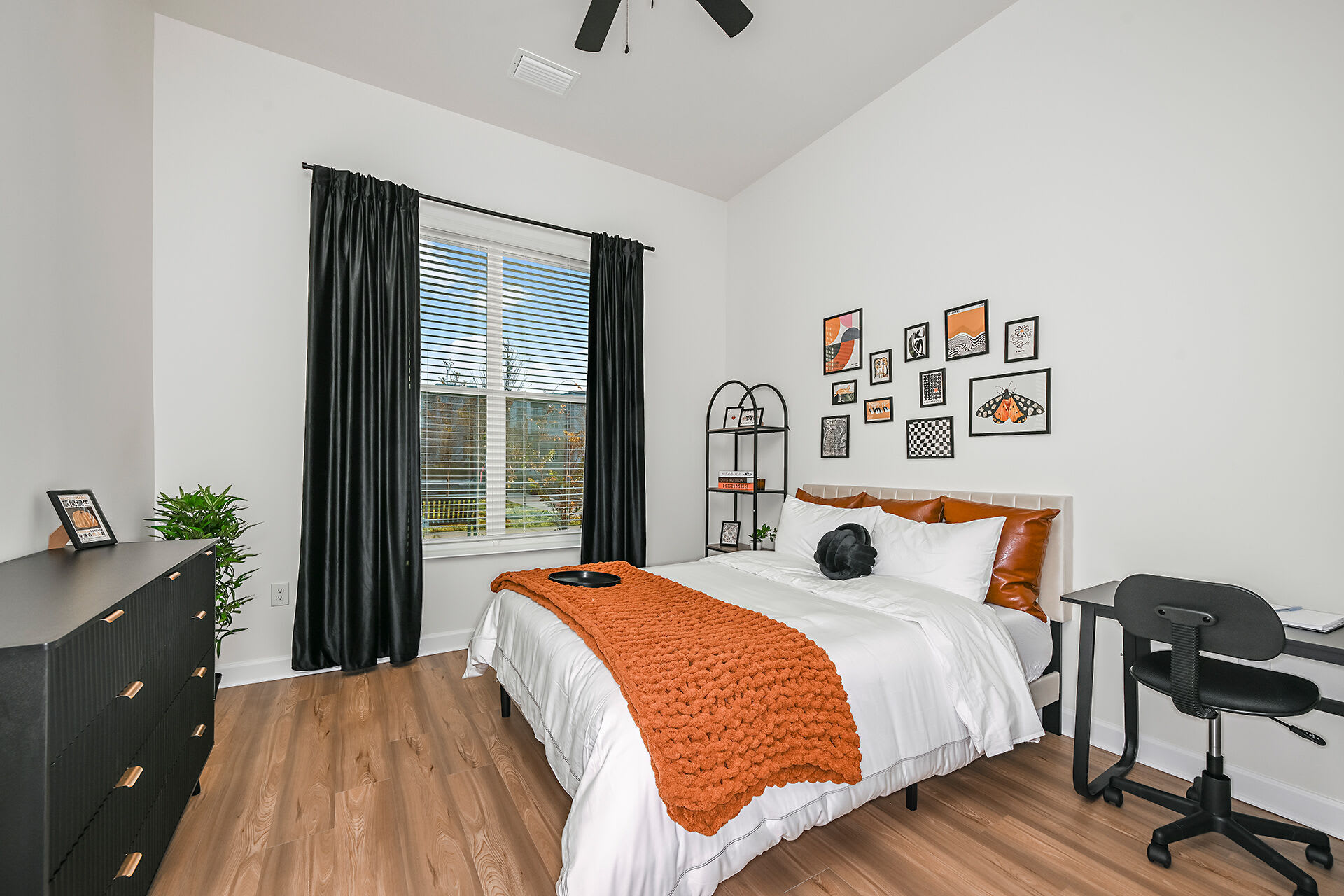 Apollo Apartments – photo 4