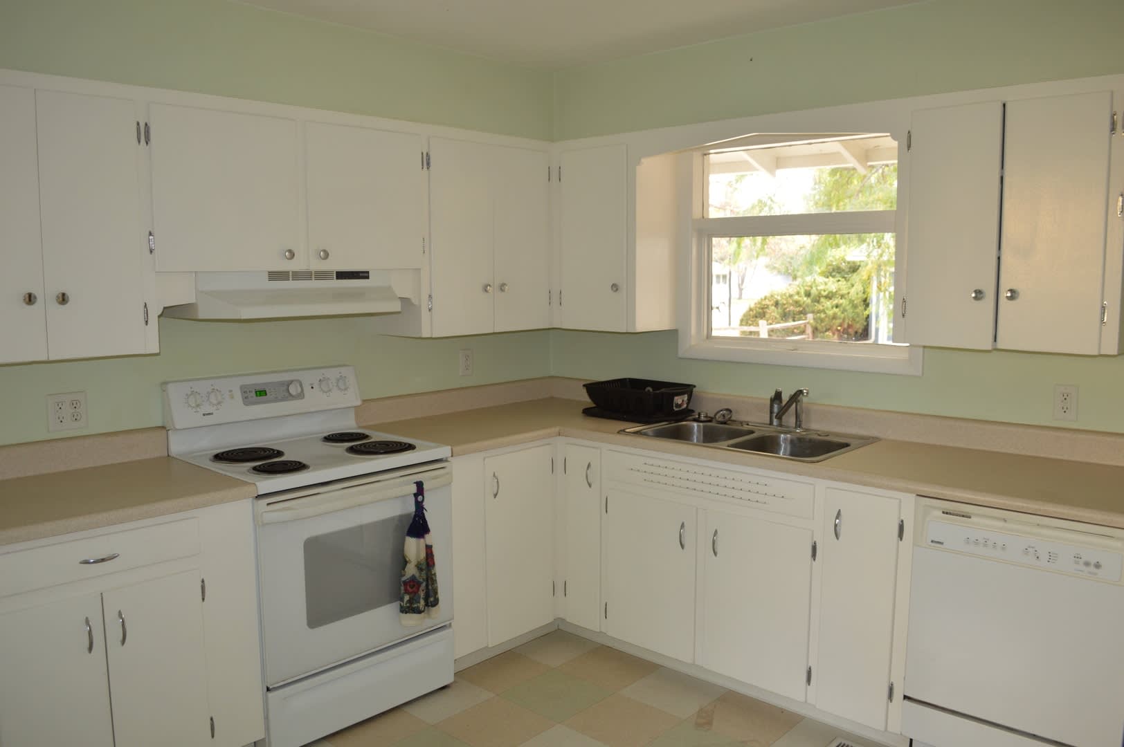 Charming 3 Bed/1.5 Bath in Desirable College Heights Location! – photo 4