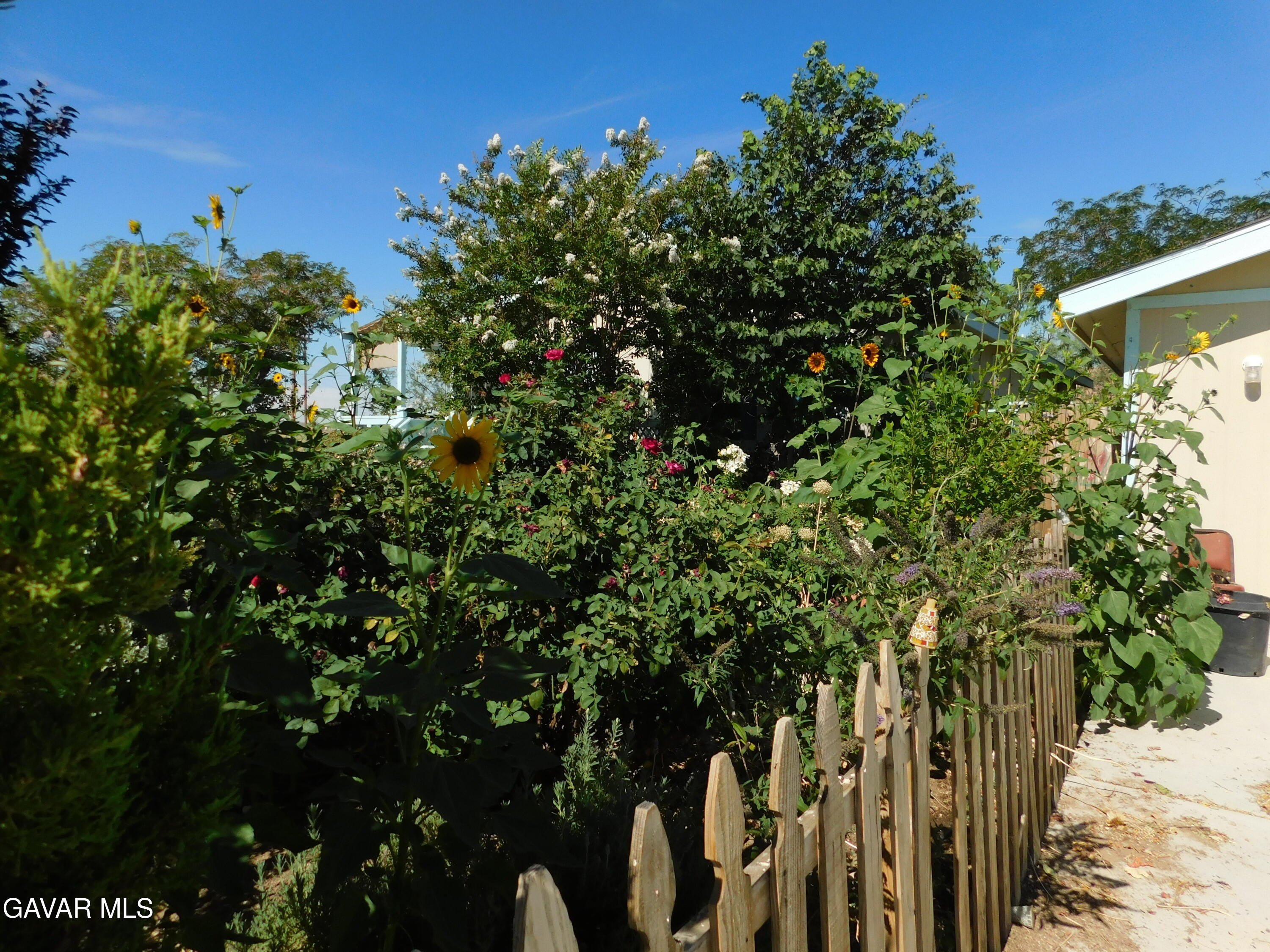 19825 Taylor Street – photo 2