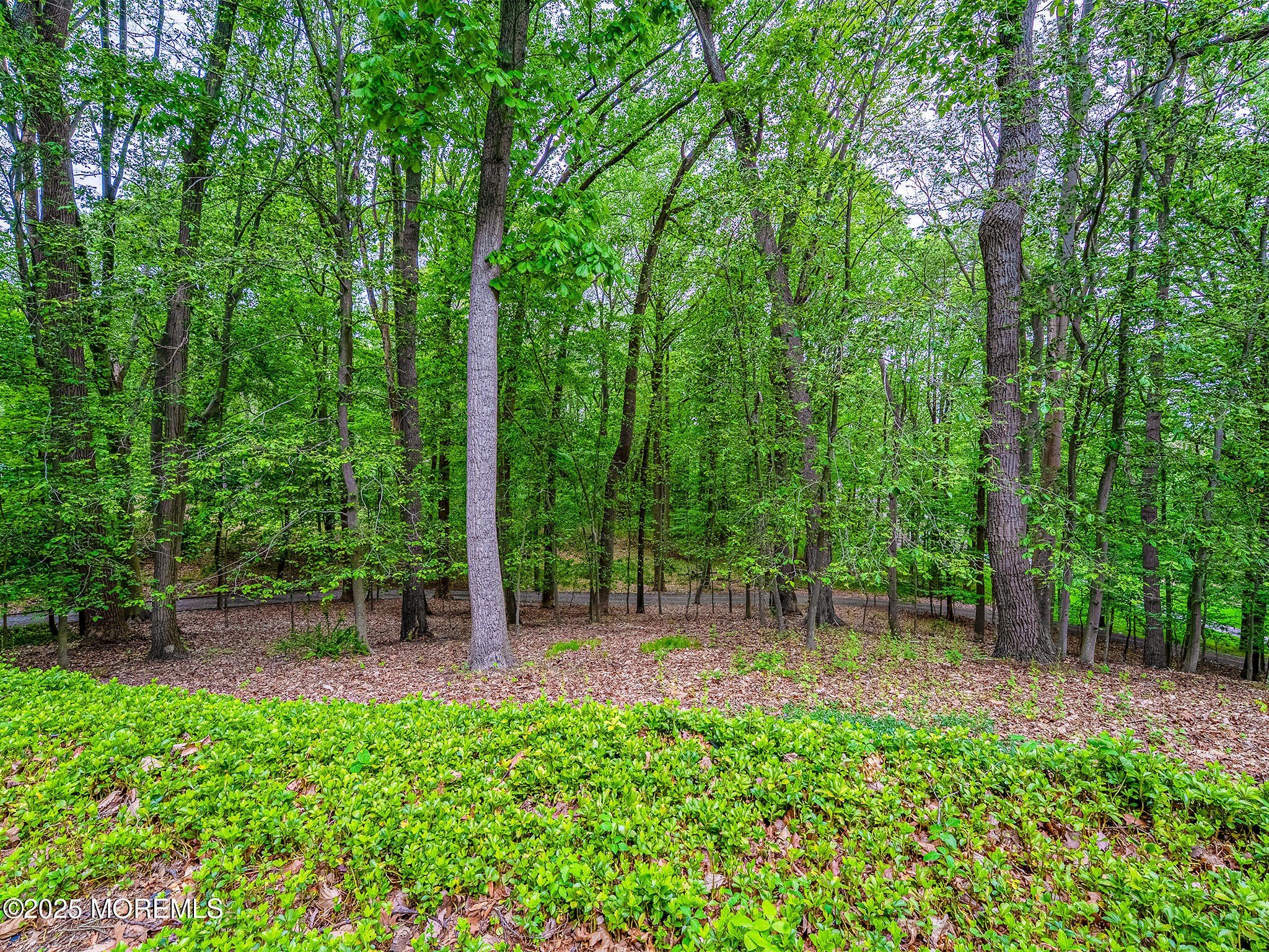 1152 State Route 34 – photo 4