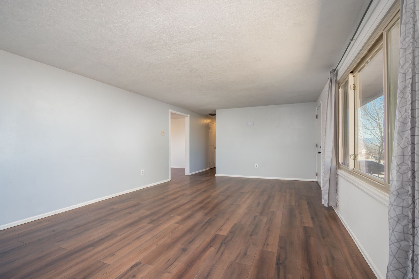 Spacious Ranch in Pueblo West! – photo 5