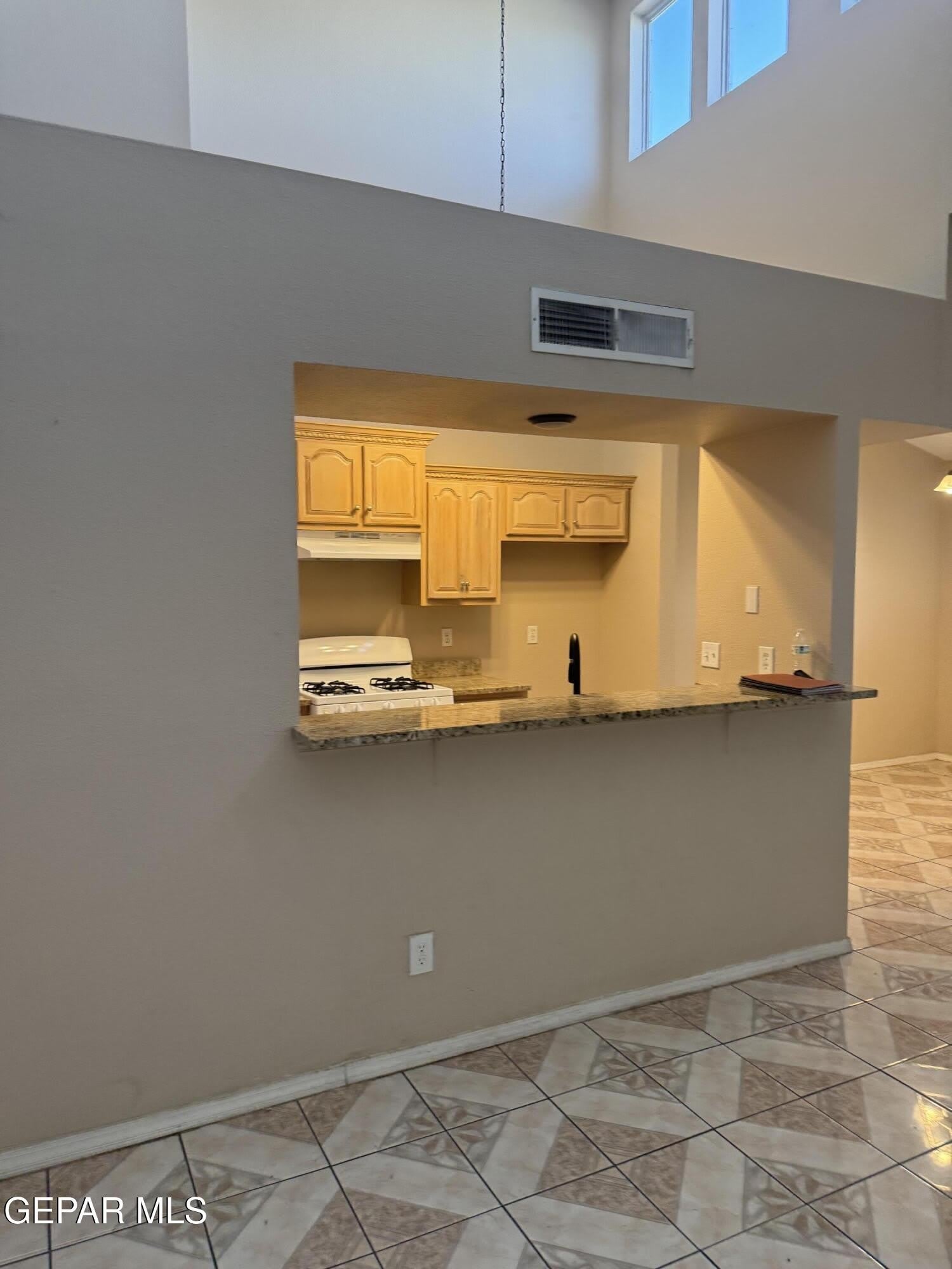 1333 TRUDY ELAINE Drive – photo 5