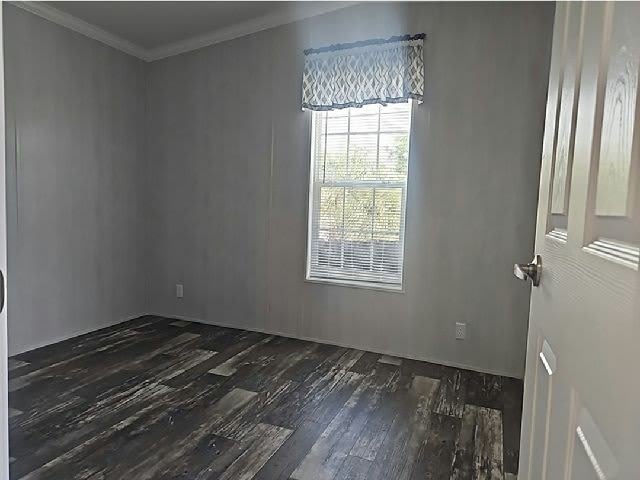 9 George St – photo 4