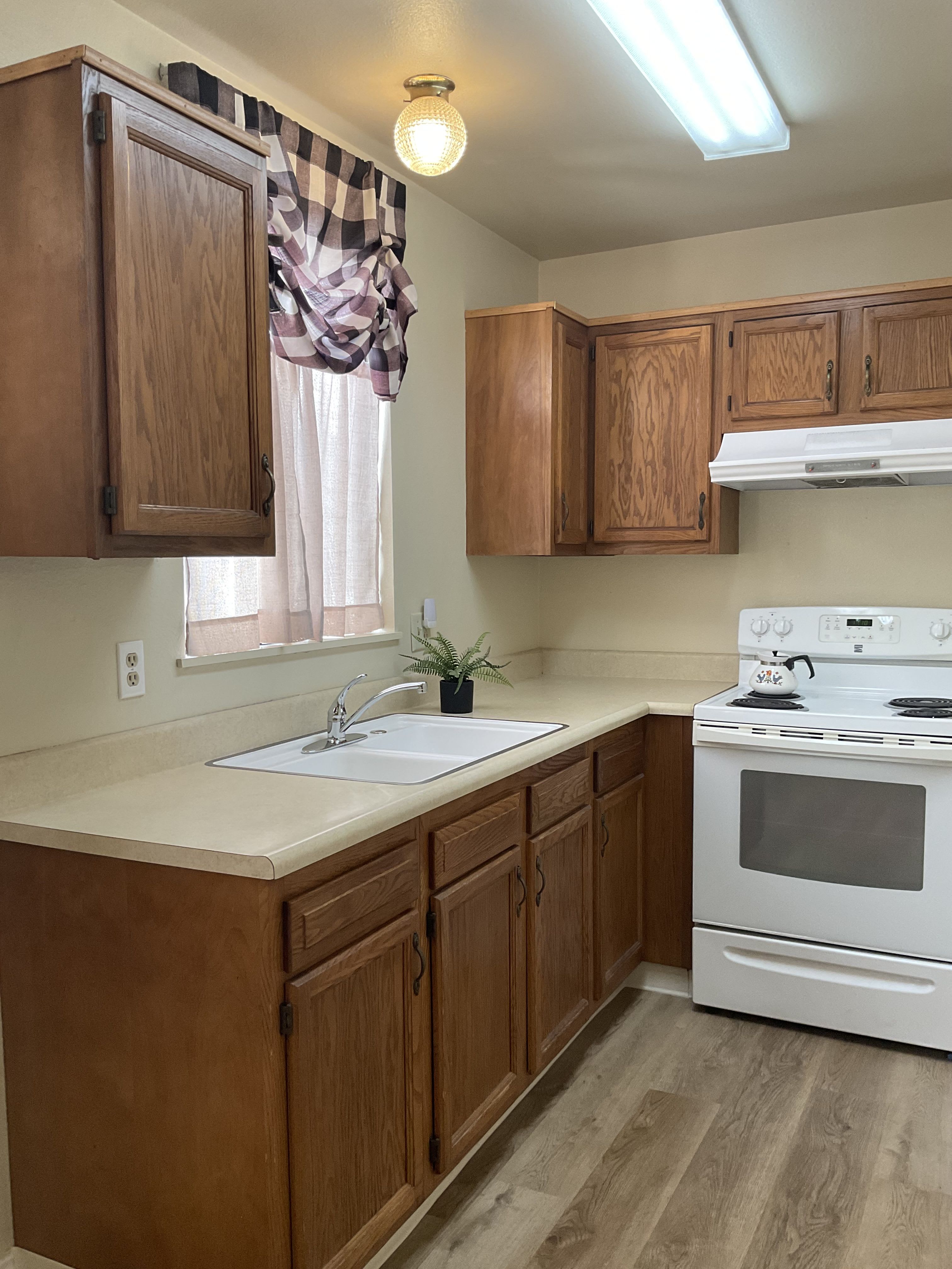 209 Green Street – photo 3