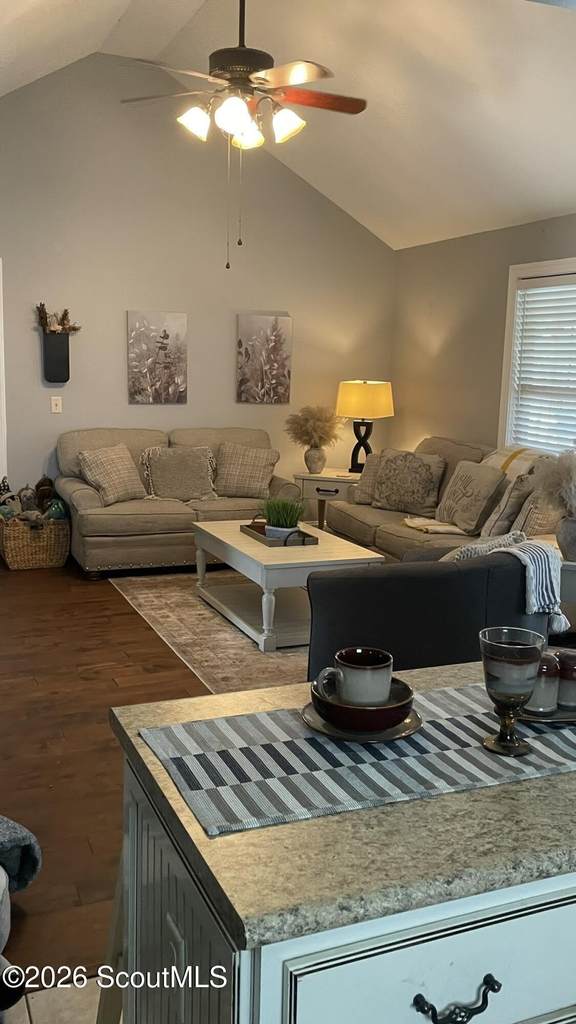 212 Victorian Lakes Drive – photo 4