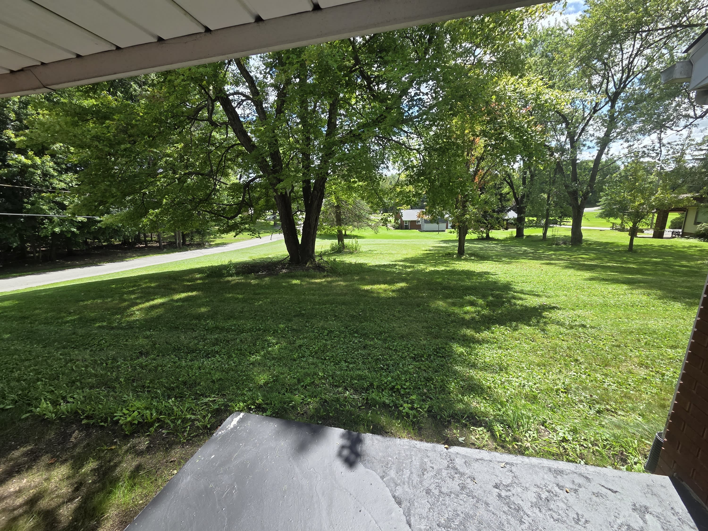 117 Bradshaw Street – photo 4