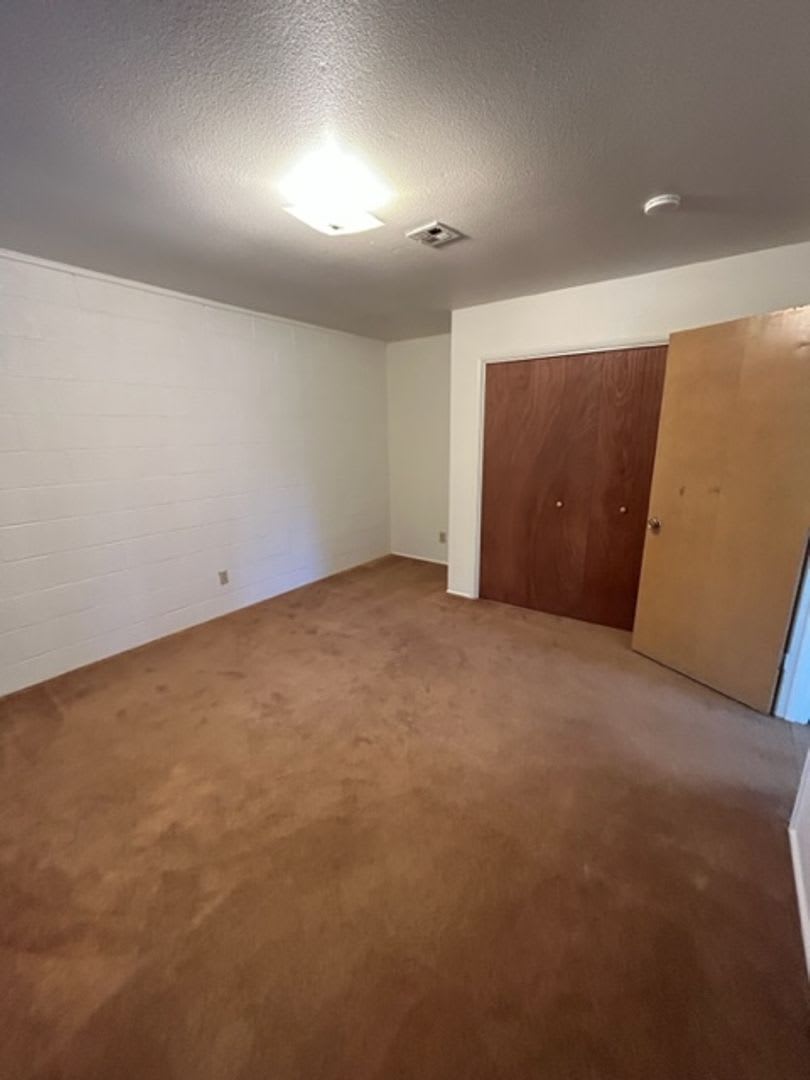 Unique Apartment for Rent in Cottage Grove – photo 5