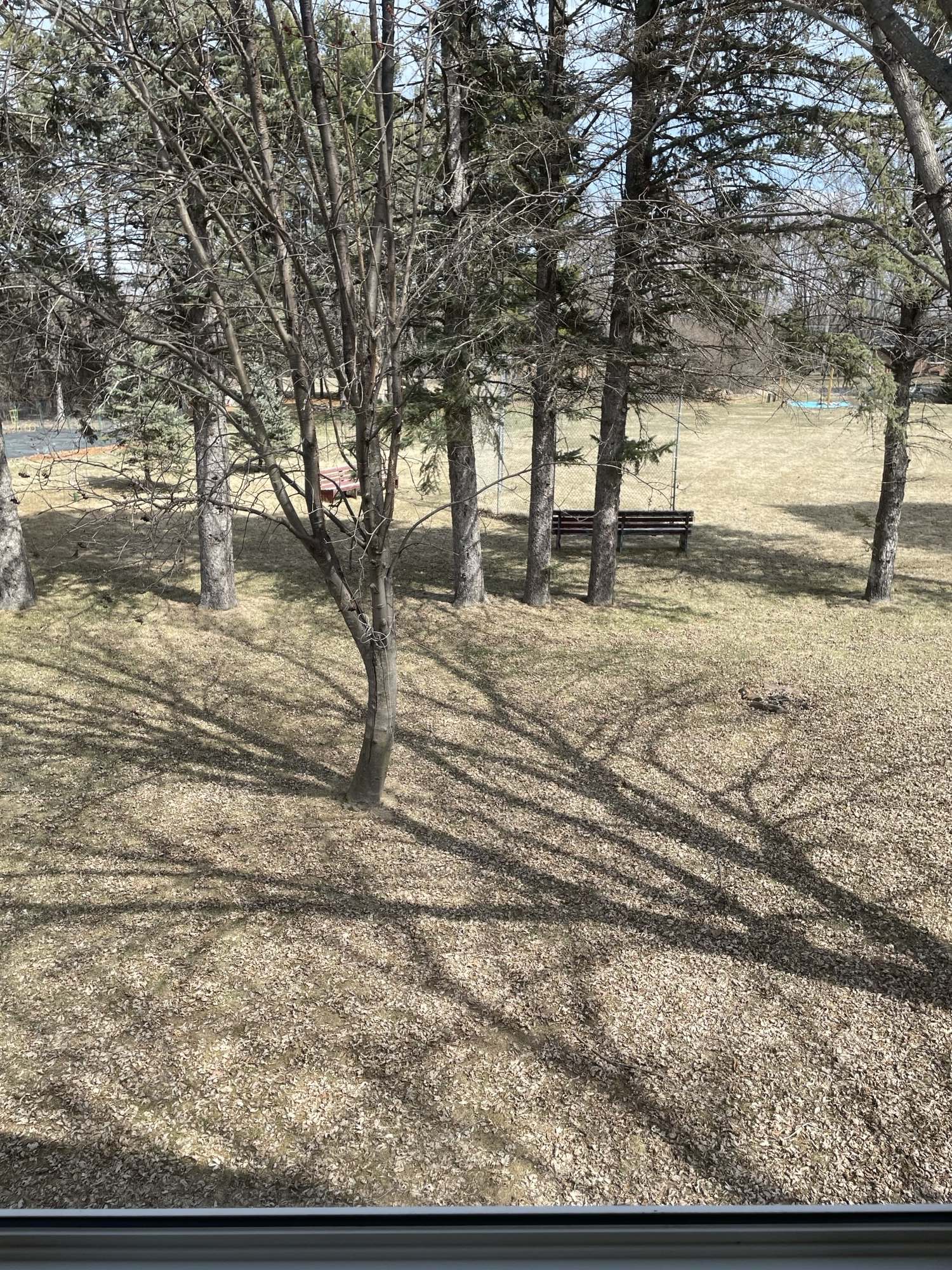 1038 Anna Ave – photo 4