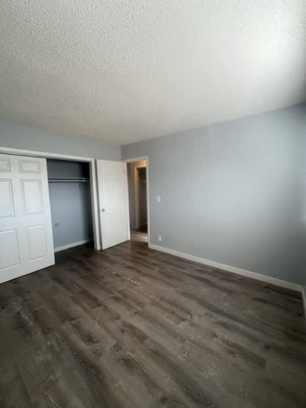 2229 Collyer Street – photo 4