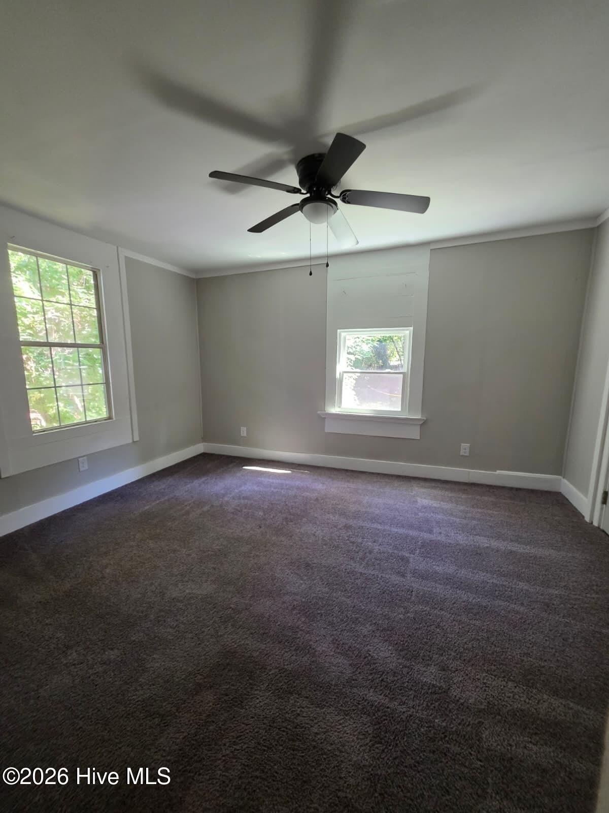 255 Watkins Street – photo 2