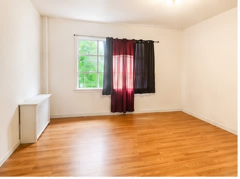 254 Rutter Ave – photo 4