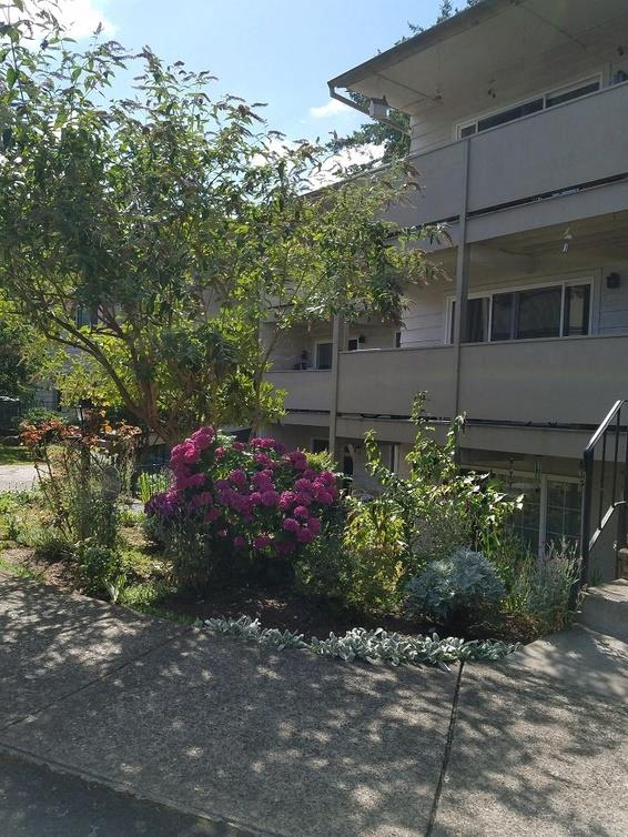 Rochelle Apartments – photo 1