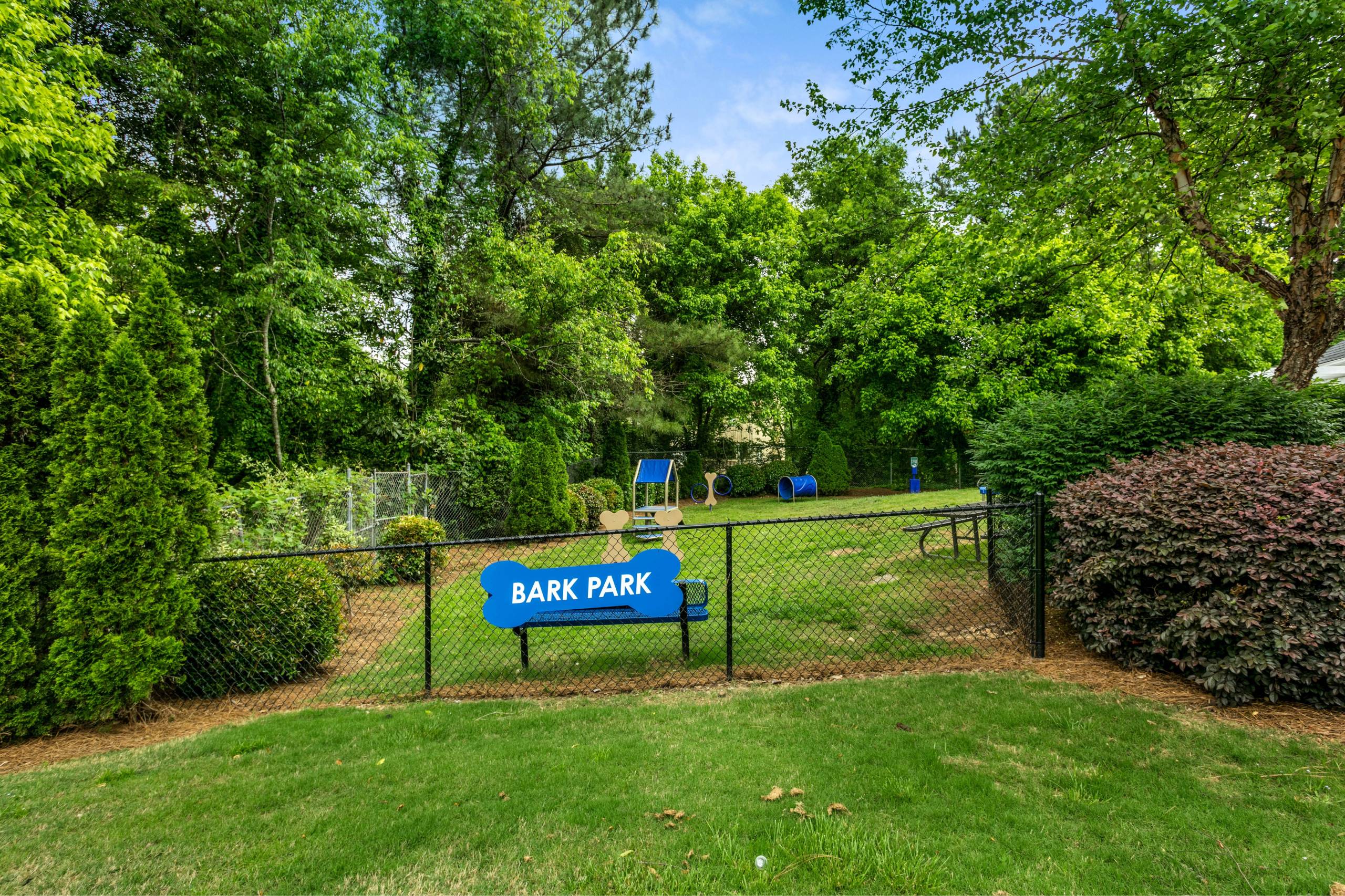 Aqua at Sandy Springs – photo 4