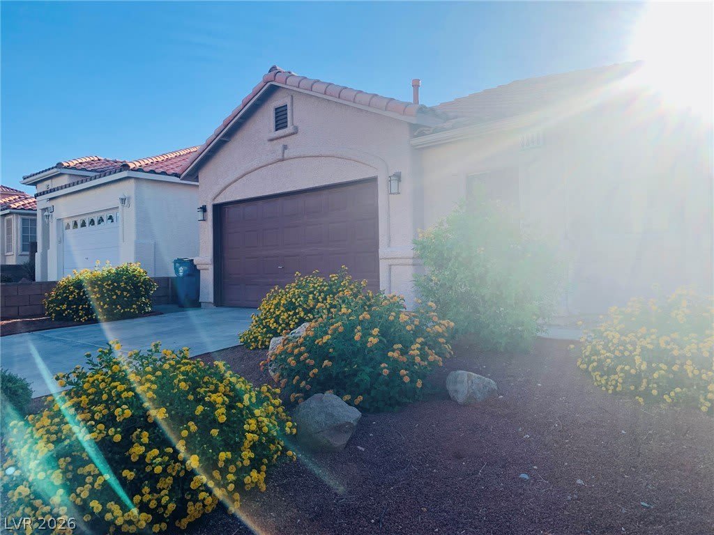 3346 Lark Bunting Street – photo 3
