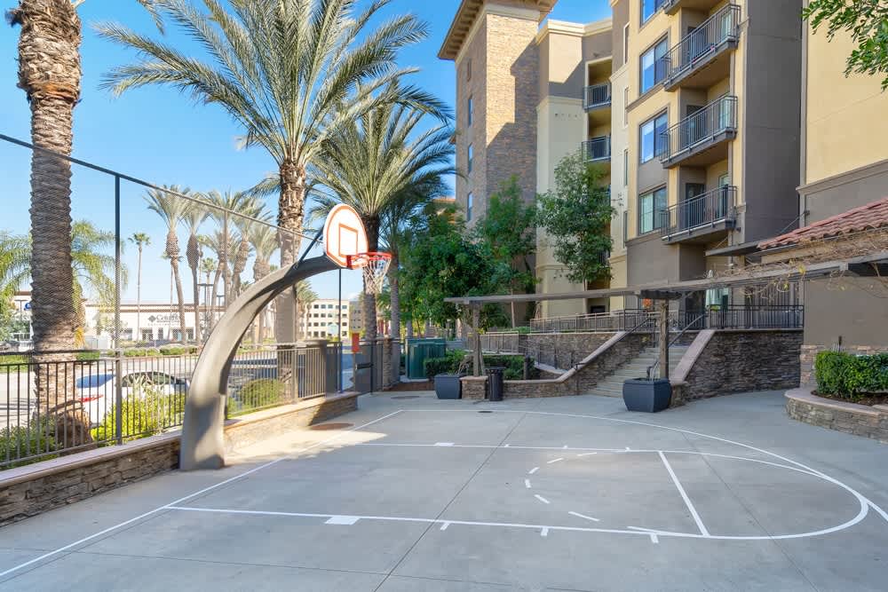 The Colony At The Lakes – photo 4