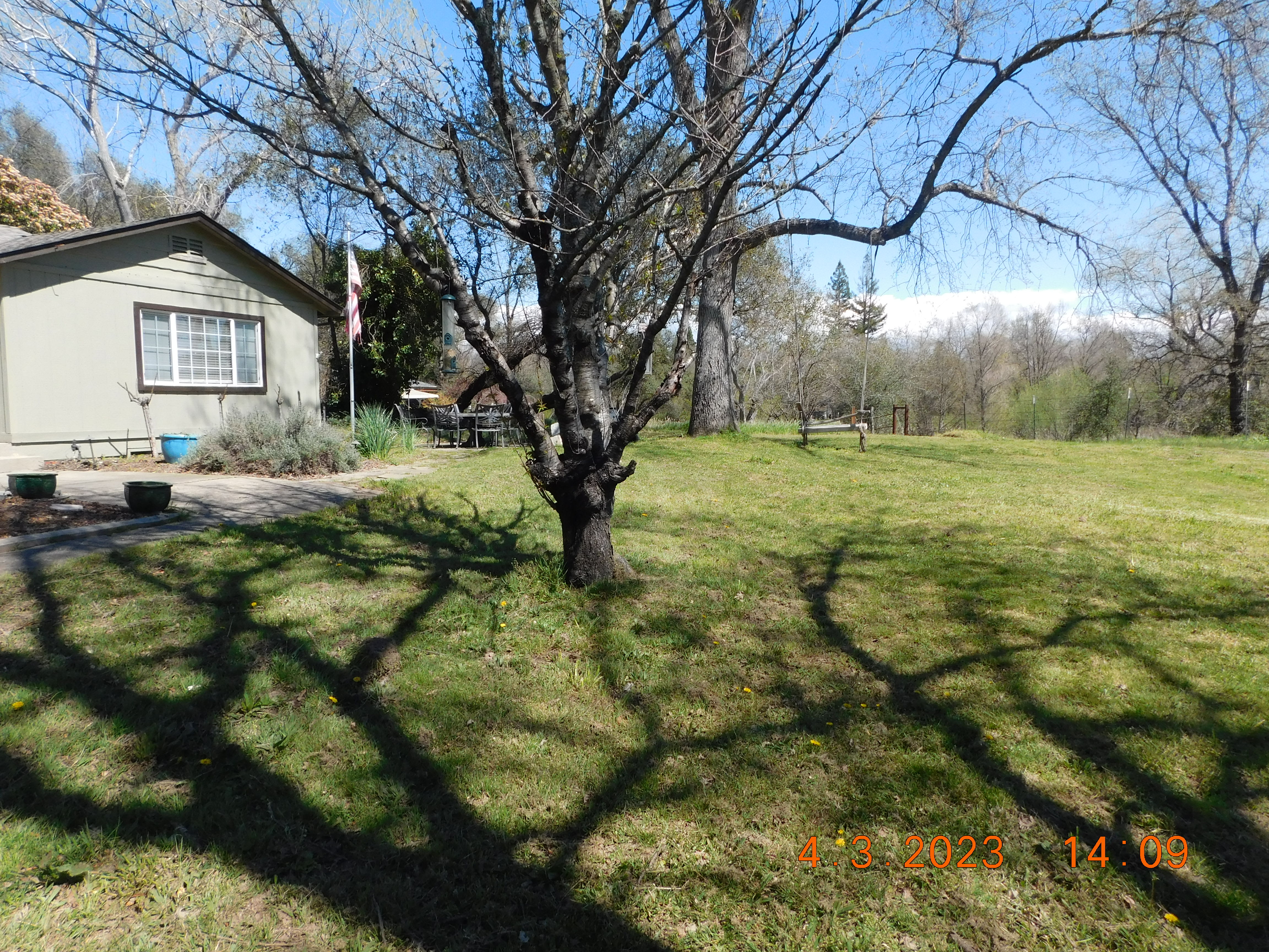 7077 Pine Gate Way – photo 5