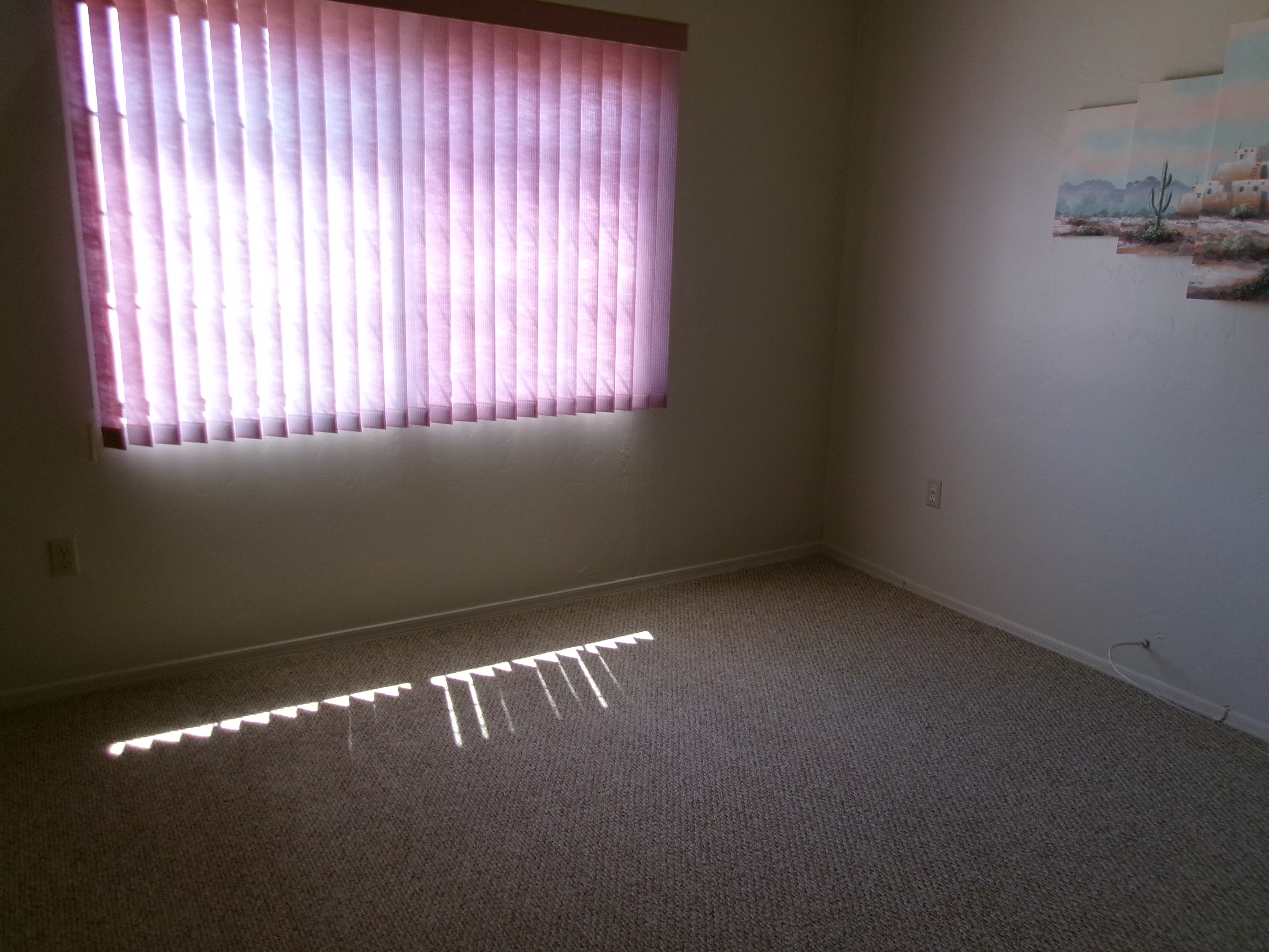 3848 S Camino Del Golfista – photo 5