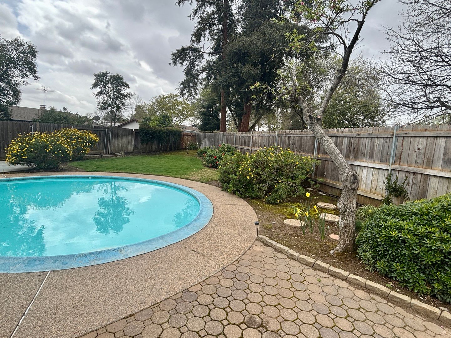 Honey-Stop The Car! This house has it all! 3/2 with Pool!!! Please read entire ad for viewings! – photo 2