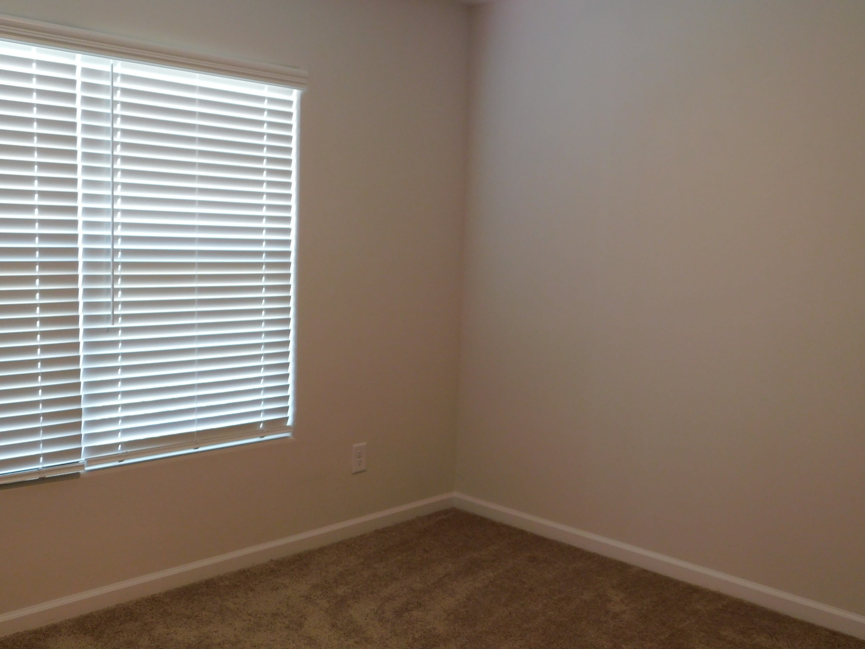 228 Sundew Road – photo 2