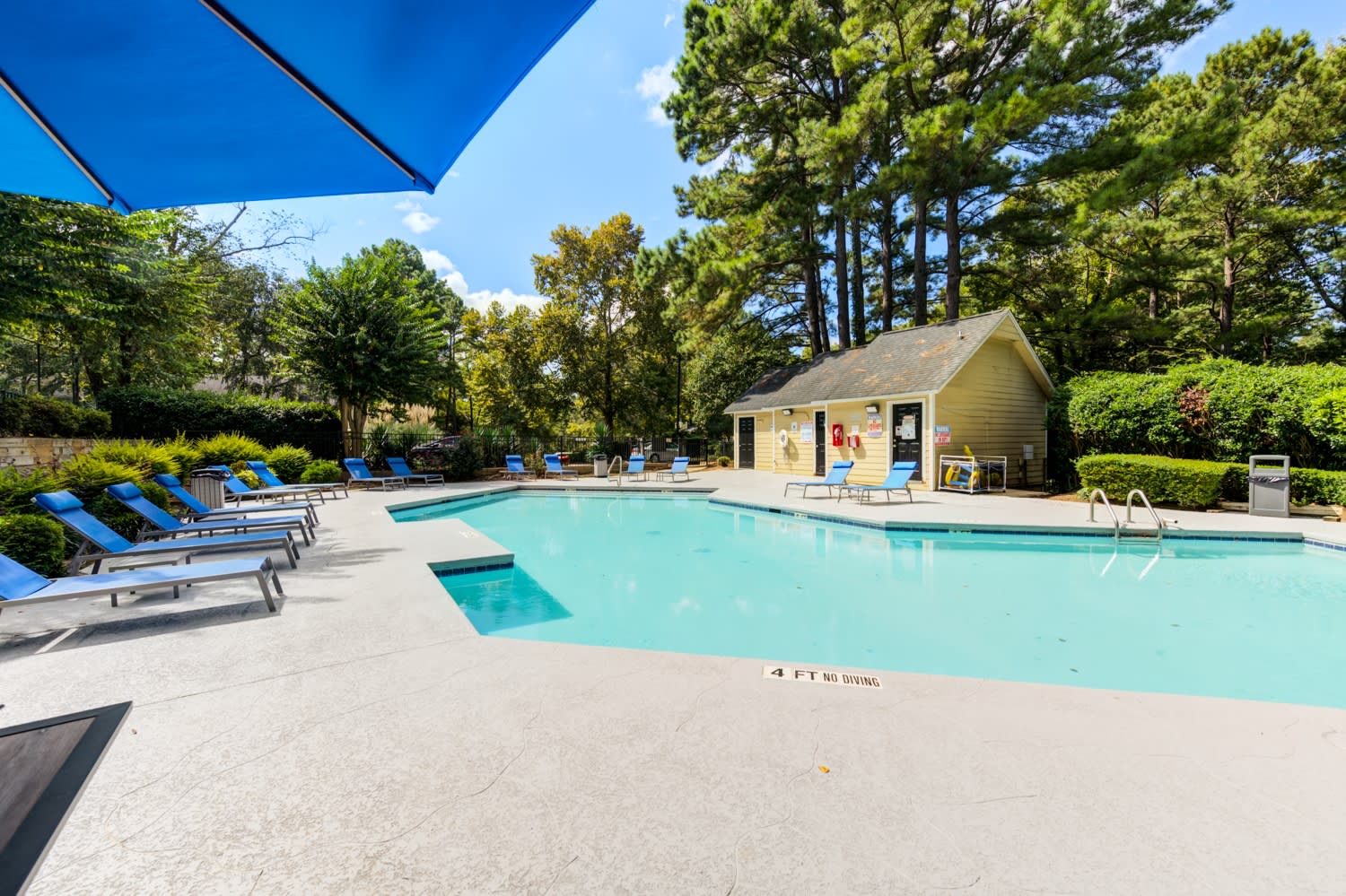 Laurel Oaks – photo 4