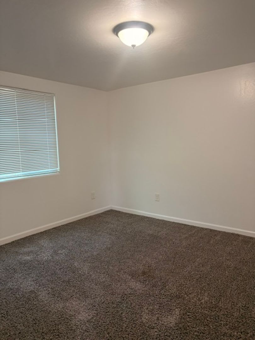 219 Lincoln St. #B- Back House – photo 4