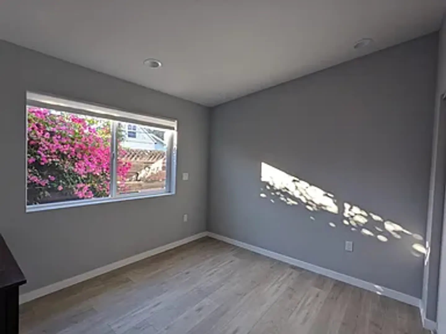 Modern 2Br 1Ba Adu In Prime Palo Alto Location 4183 Park Blvd A – photo 4