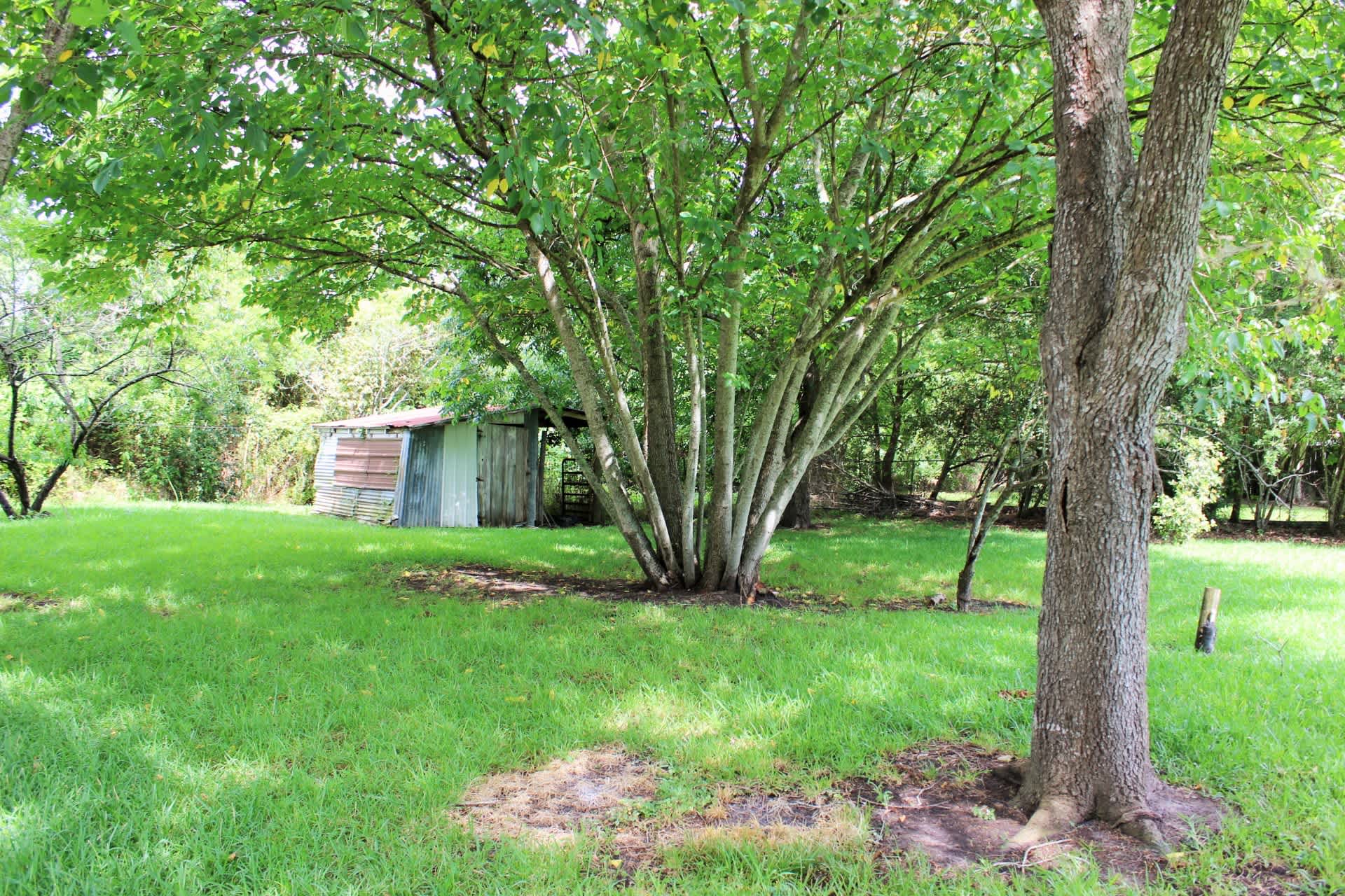 812 Burleson Street – photo 2