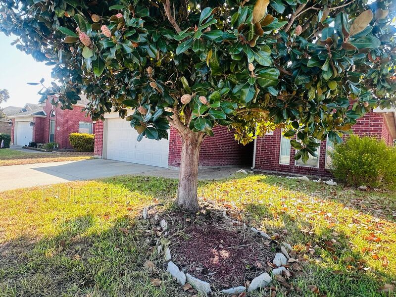 2509 Windblown Dr – photo 4