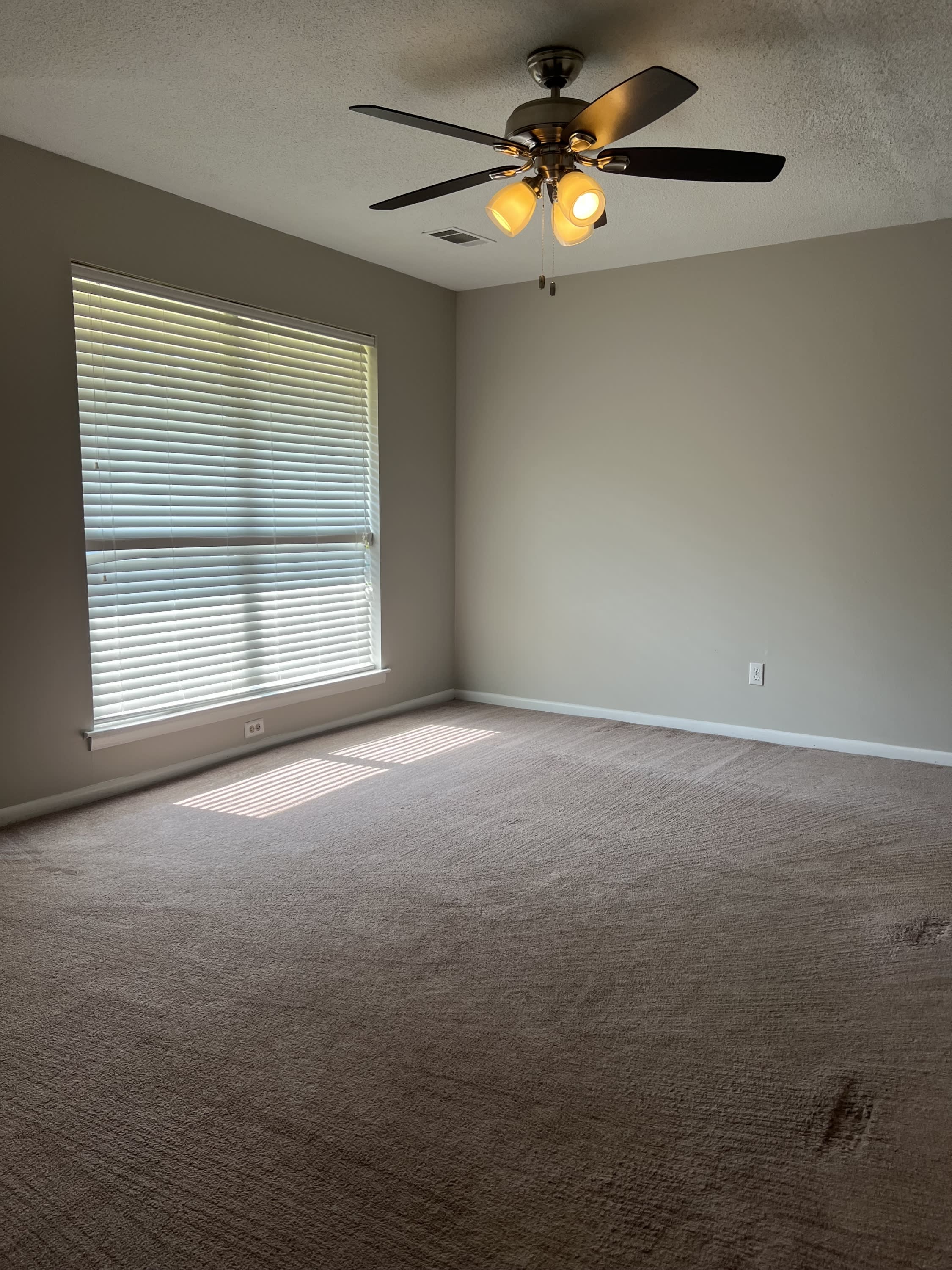 491 Elm Street – photo 5