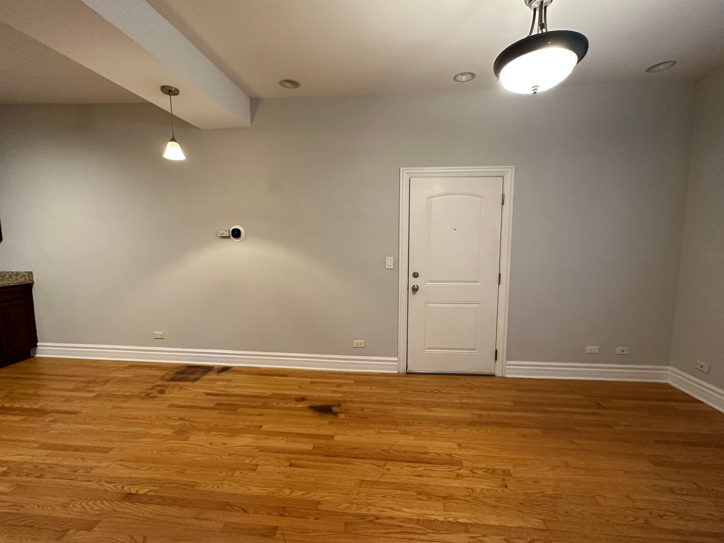 3923 W Altgeld St – photo 5