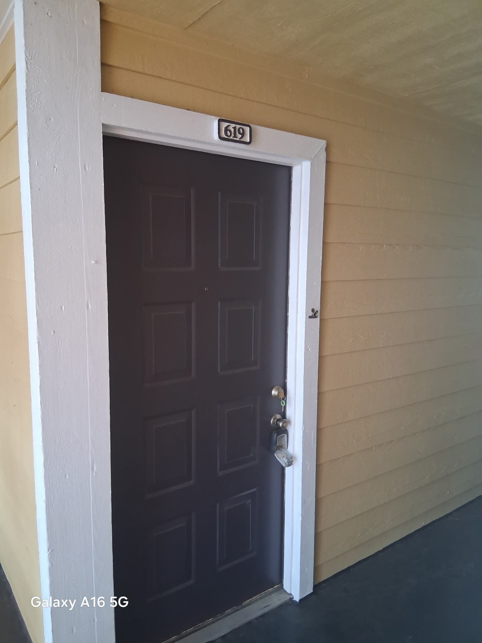 225 South Tropical Trail 619 – photo 2
