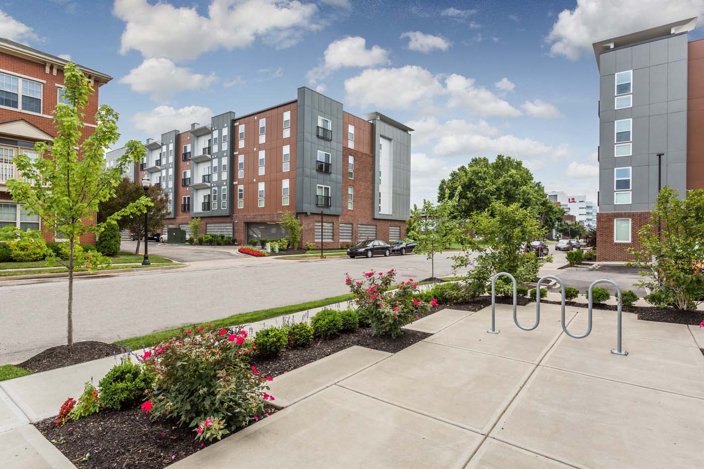 310 At Nulu – photo 3