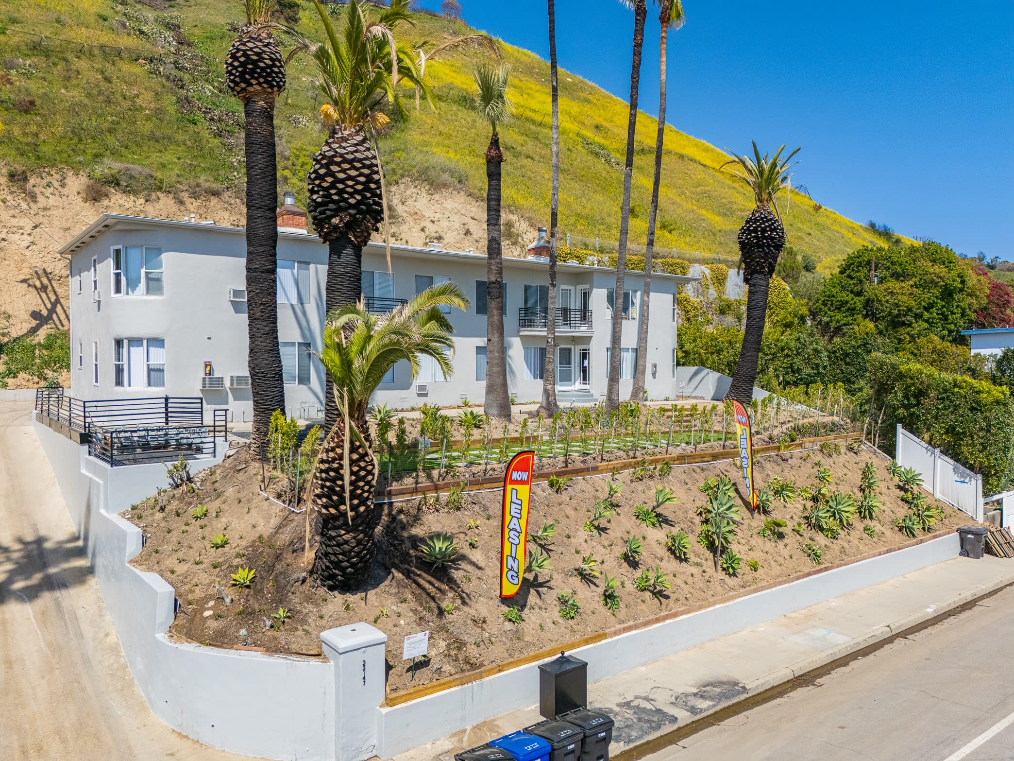 3949 Las Flores Canyon Rd – photo 4