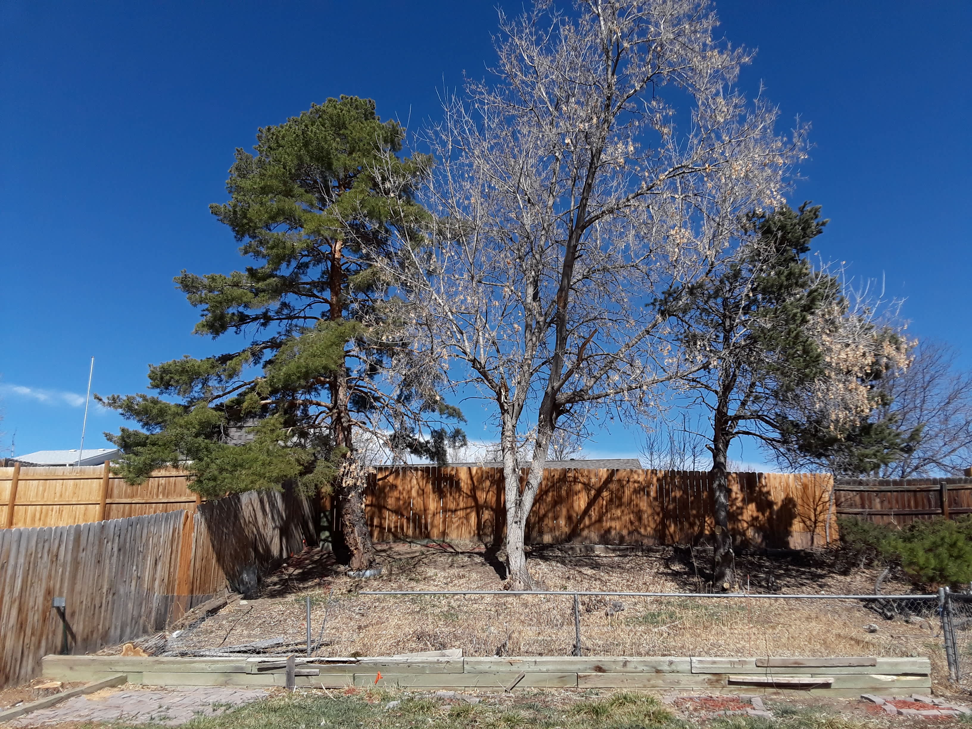 18907 West 61st Avenue – photo 2