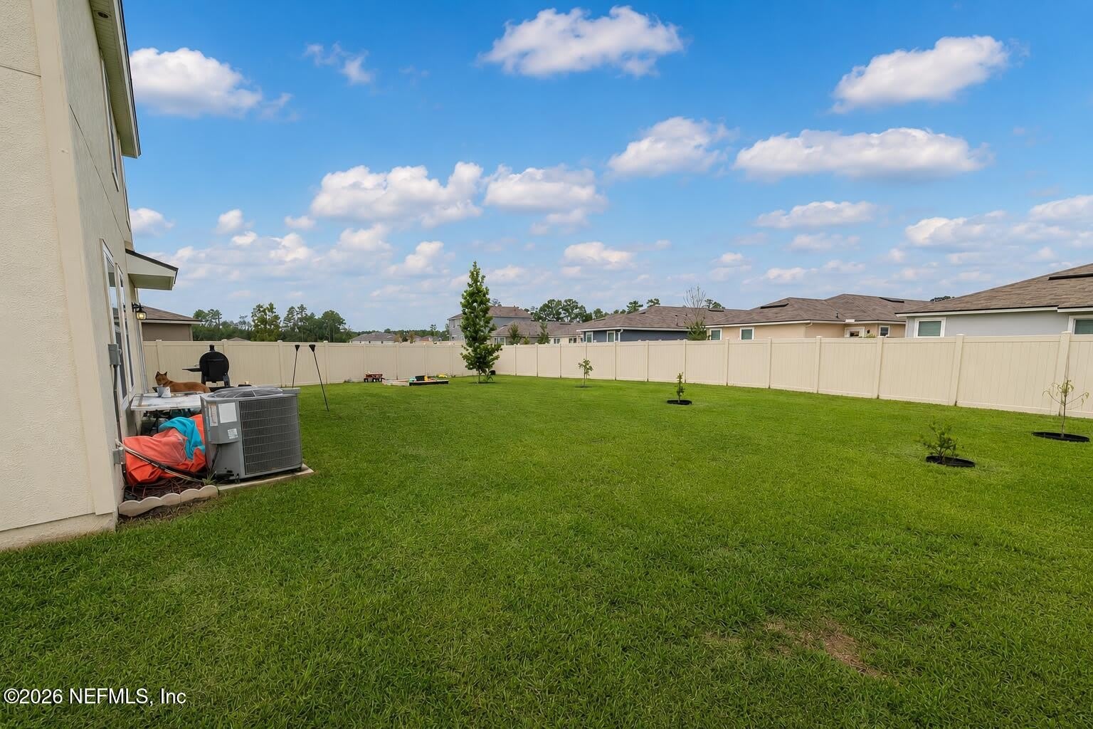 12555 RUBBER FIG Terrace – photo 3
