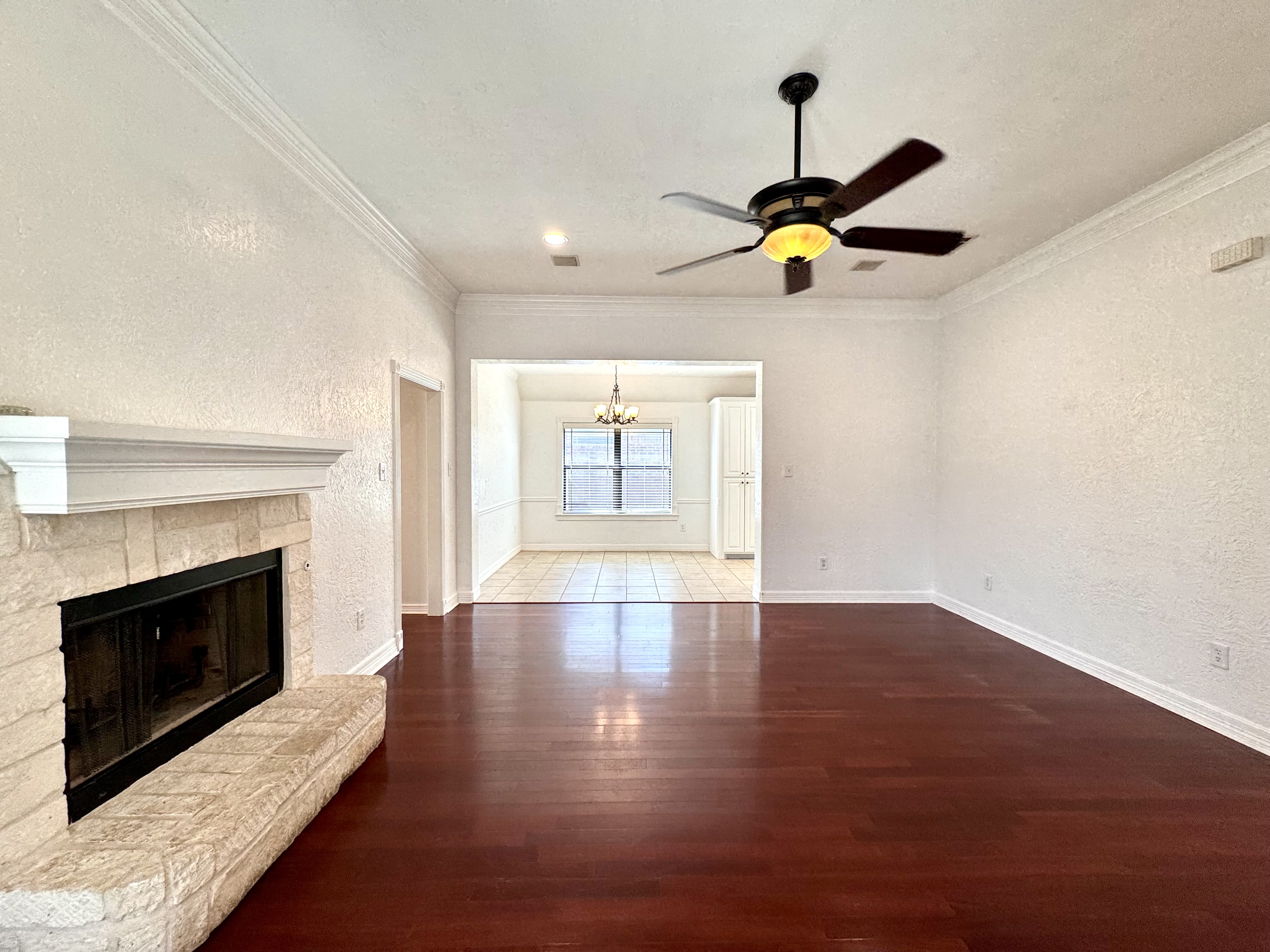 3807 Ransberg Court – photo 5