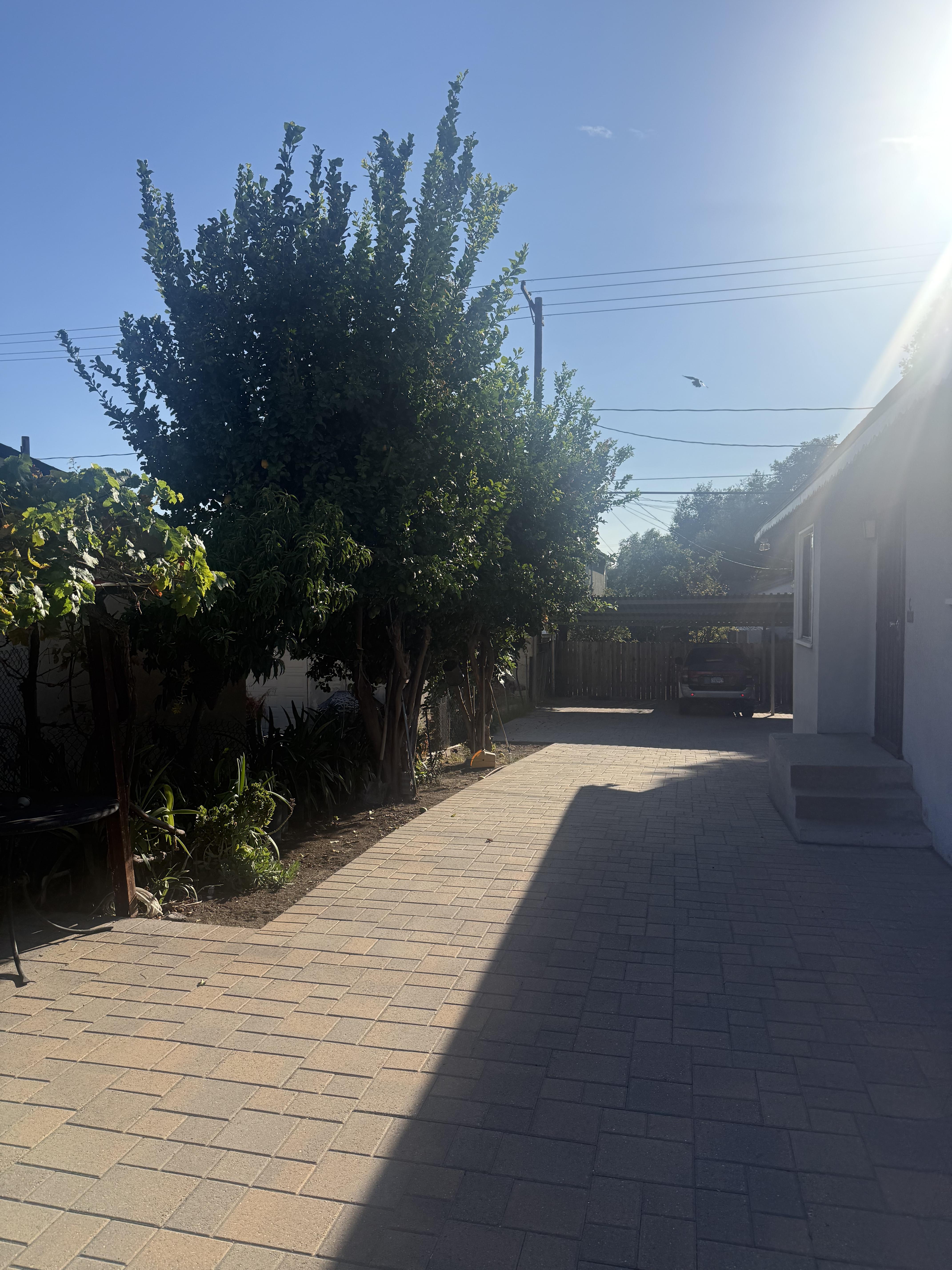229 North Buena Vista Street – photo 3